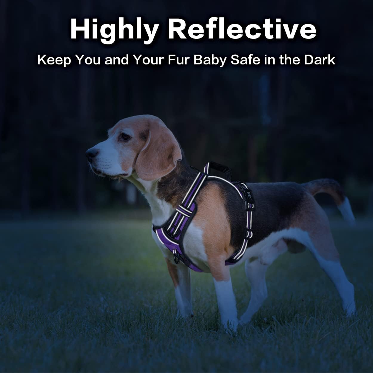 PoyPet No Pull Dog Harness, No Choke Front Clip Reflective Dog Vest with Soft Padded Vertical Handle, 3 Leash Attachments for Small Medium Large Dogs (Purple,XL)