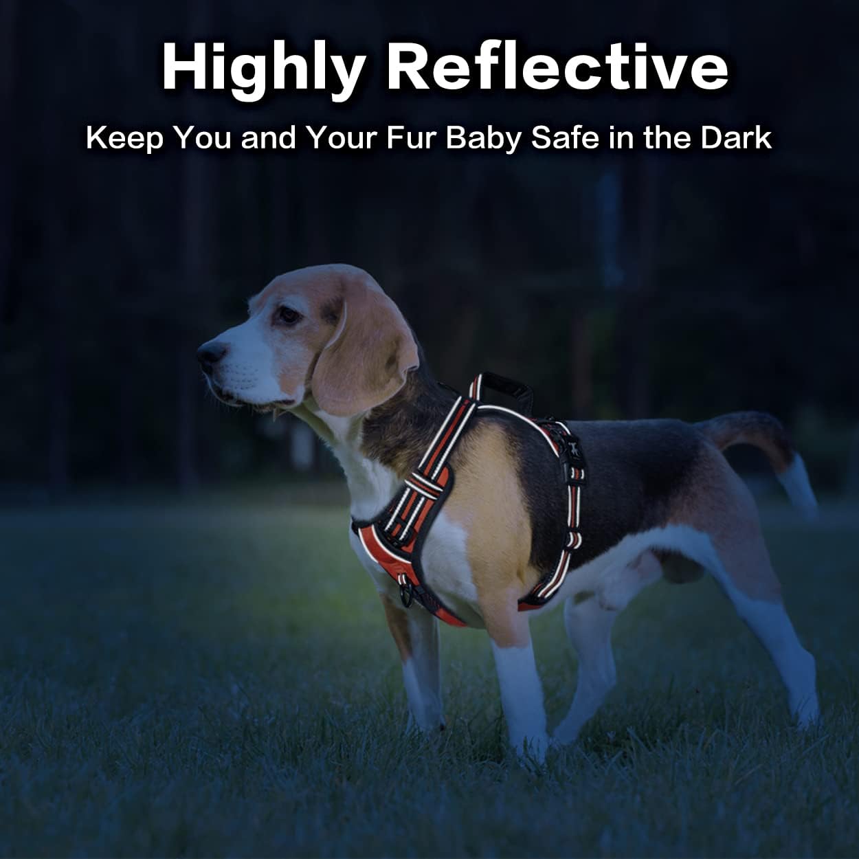 PoyPet No Pull Dog Harness, No Choke Front Clip Reflective Dog Vest with Soft Padded Vertical Handle, 3 Leash Attachments for Small Medium Large Dogs (Orange,M)