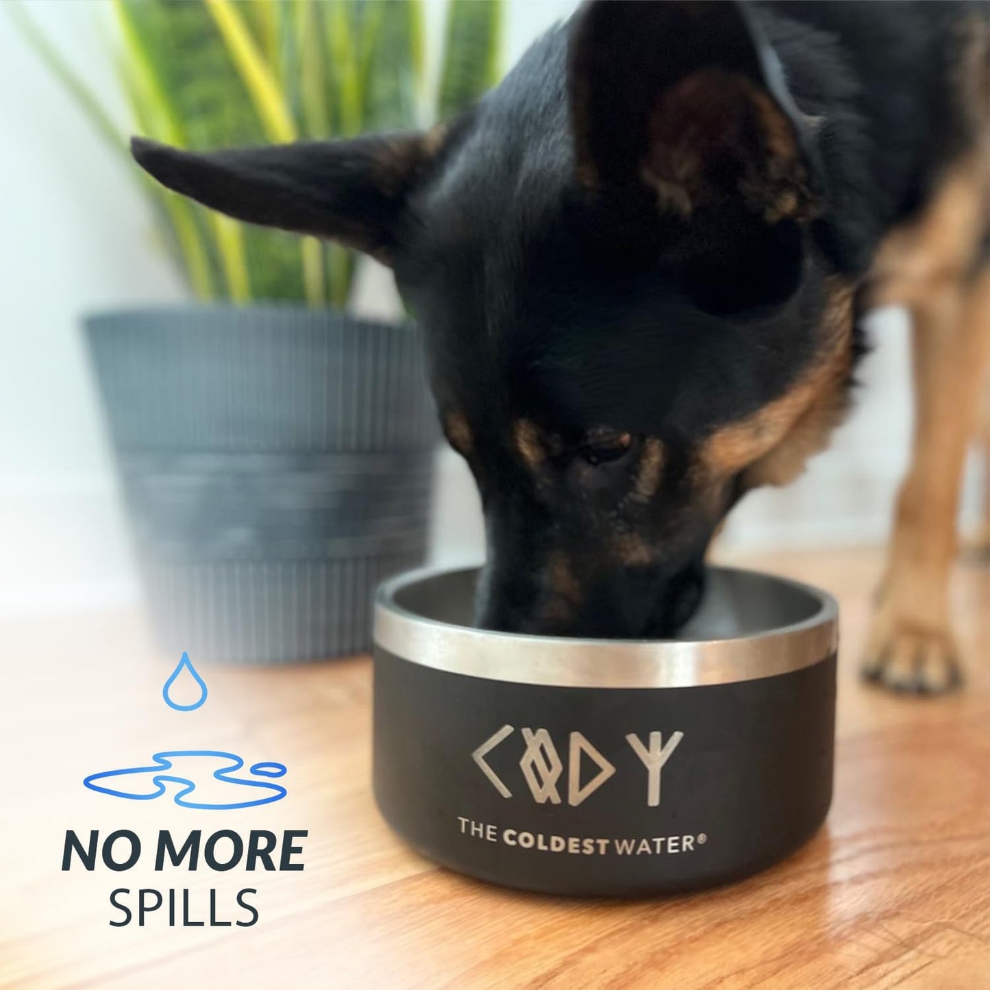 Coldest Dog Bowl - Anti Rust Metal, Non Slip, 3 Layers Insulated Stainless Steel Dog Bowls - Spill Proof & Heavy Duty - Water Bowl for Dogs, Cats & Pets, Dish Washer Safe (64 oz, Into The Beyond)