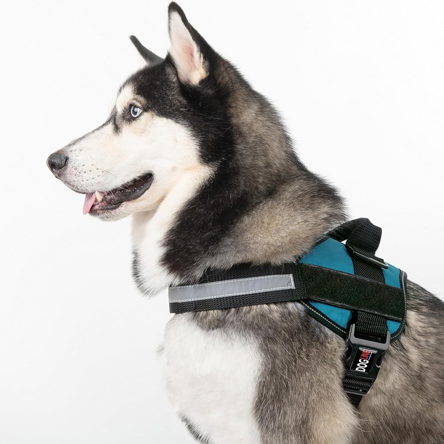 Dogline Dog Harness, Reflective No-Pull Adjustable Vest with Handle for Walking, Training, Breathable, No - Choke Harness for Small, Medium or Large Dogs Room for Patches Girth 33"-46" in Turquoise