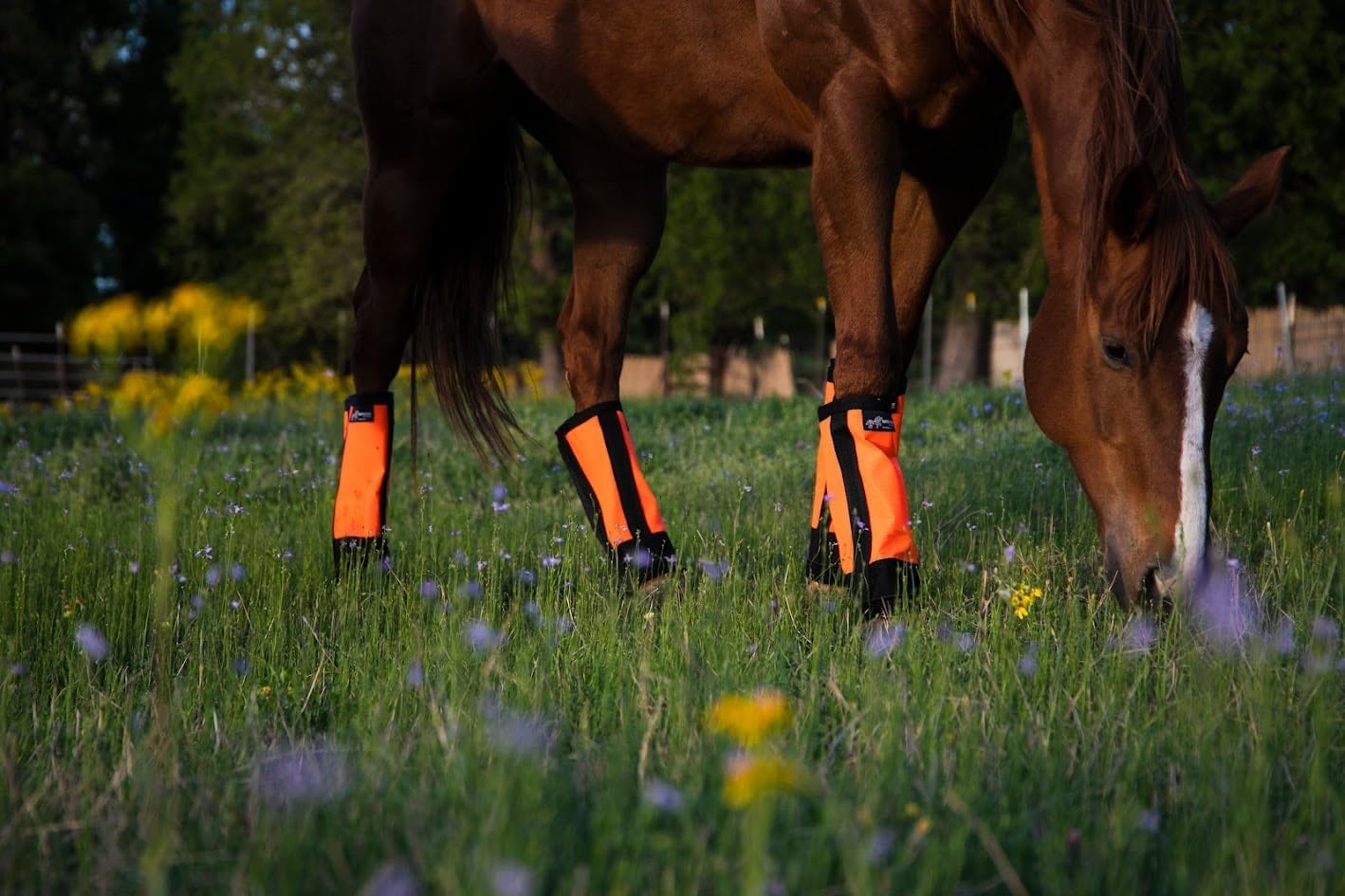 Warrior Fly Boots for Horses - Breathable Mesh Horse Boots for Fly Protection & Leg Comfort - Set of 4 (Knight Warrior, Neon Pink)