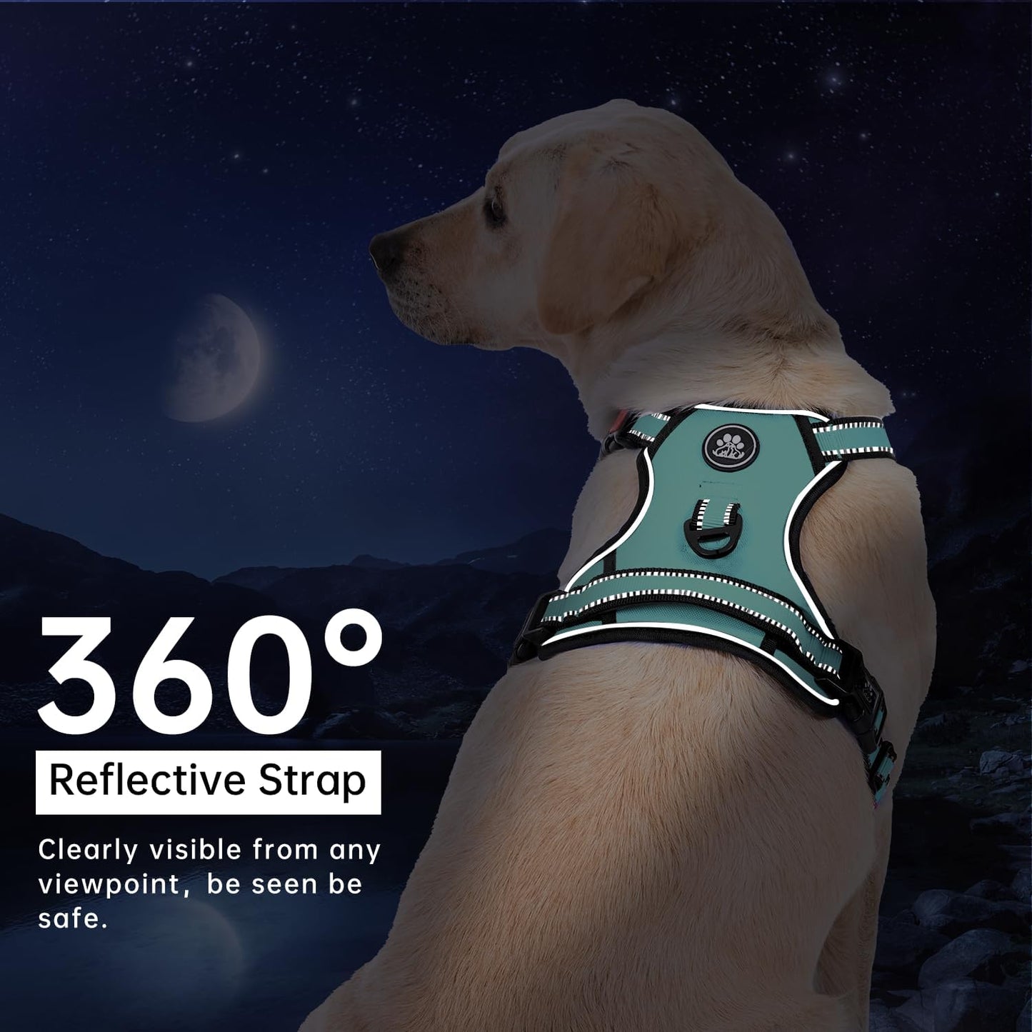 IVY&LANE No Pull Dog Harness with Leash Set, Reflective No Choke Pet Vest,Adjustable Oxford Dog Vest Harness with Easy Control Handle for Small Dogs (Turquoise,S)