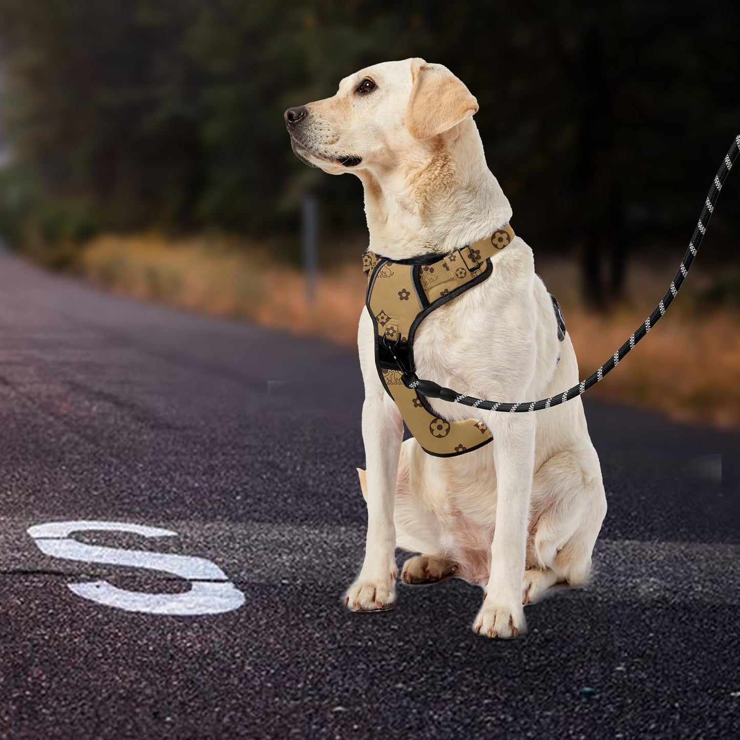 IVY&LANE No Pull Dog Harness with Leash Set, Reflective No Choke Pet Vest,Adjustable Oxford Dog Vest Harness with Easy Control Handle for Small Dogs (Light Brown,S)