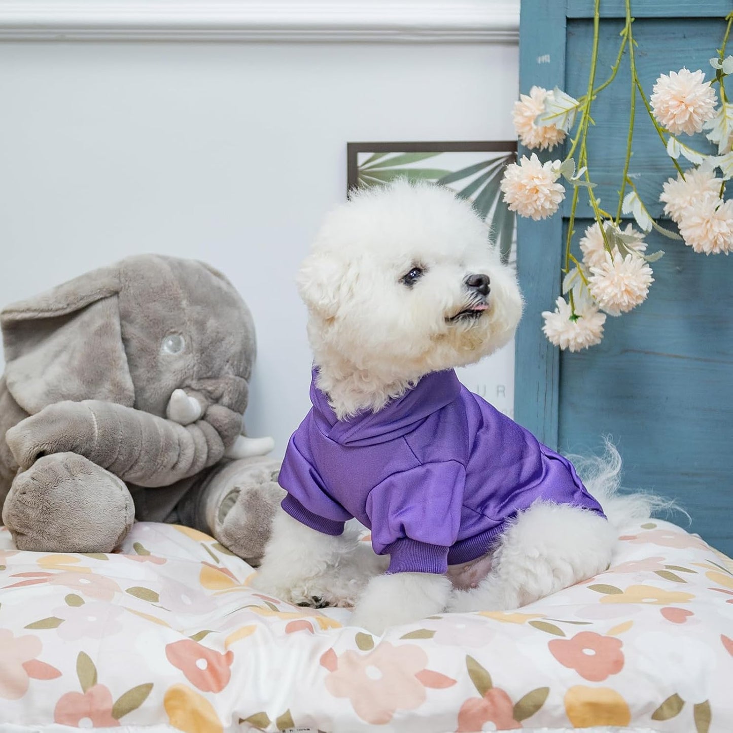 KOOLTAIL Basic Dog Hoodie - Soft & Warm Dog Hoodie Sweater with Leash Hole and Pocket, Dog Winter Coat, Cold Weather Clothes Sweatshirt for Small Medium Large Dogs Puppy Cat Boys Girls Purple S