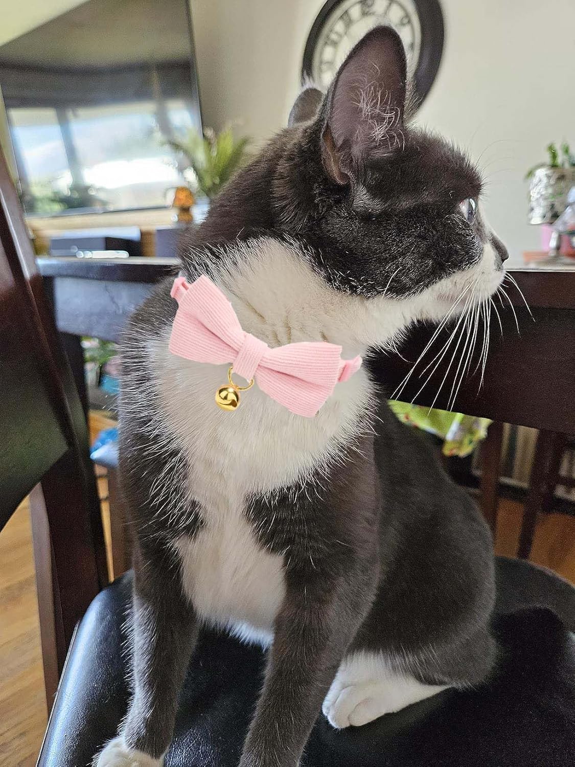 2 Pack Soft Corduroy Cat Collars with Bow Tie & Bell, Adjustable Breakaway Cotton Kitty Bowtie Collar for Girl Boy Kitten (Pink & Blue)