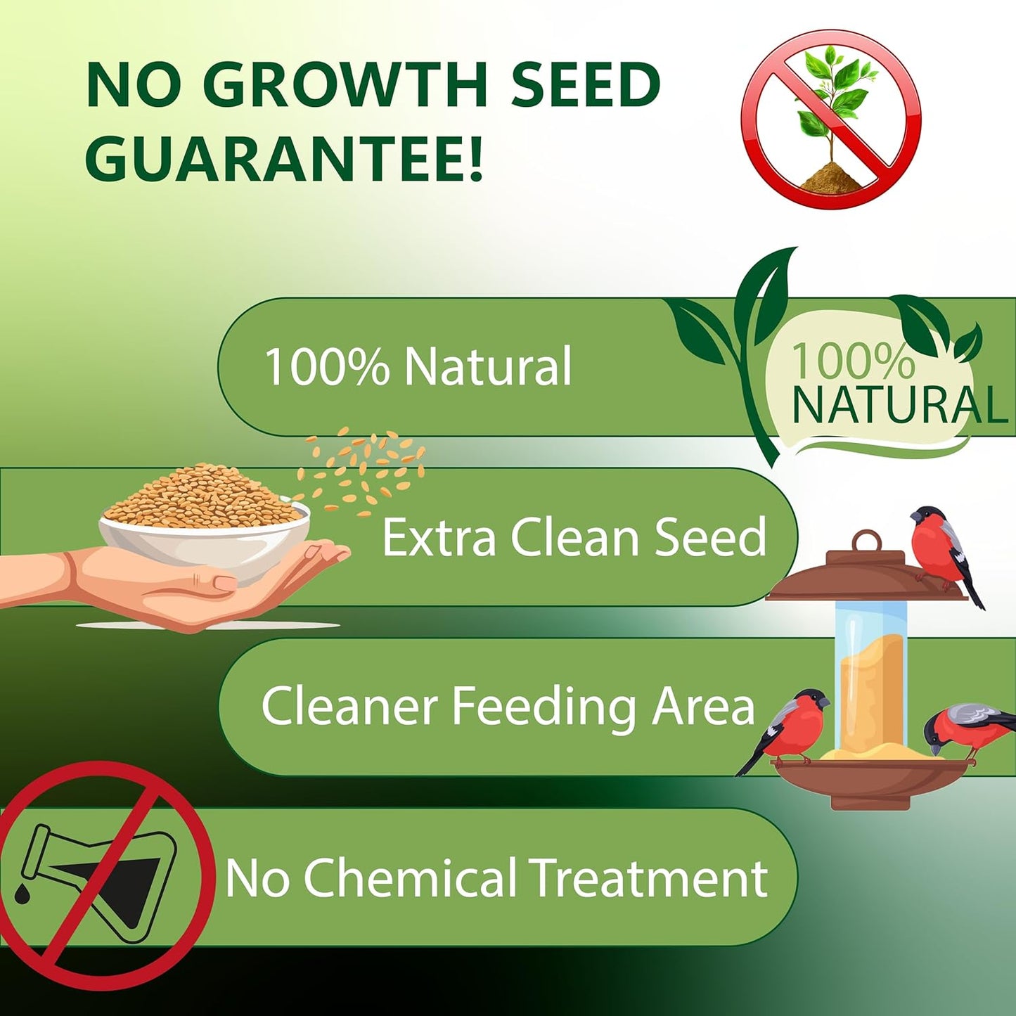 Shelled Peanuts Seeds Wild Bird Food - 5 Pounds I No Grow Seed I Bird Seed for Wild Birds