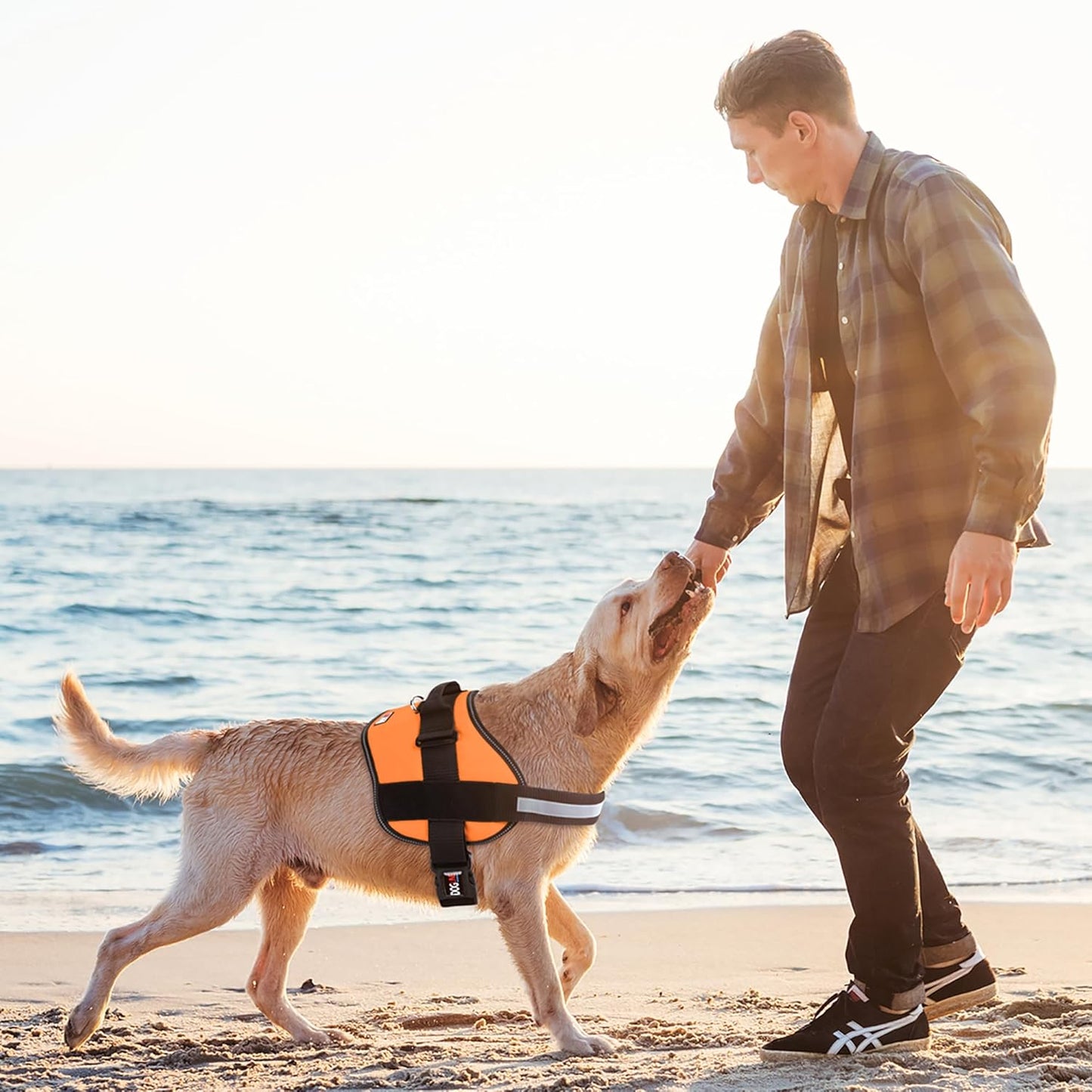Dogline Dog Harness, Reflective No-Pull Adjustable Vest with Handle for Walking, Training, Breathable, No - Choke Harness for Small, Medium or Large Dogs Room for Patches Girth 15 to 18 in Orange