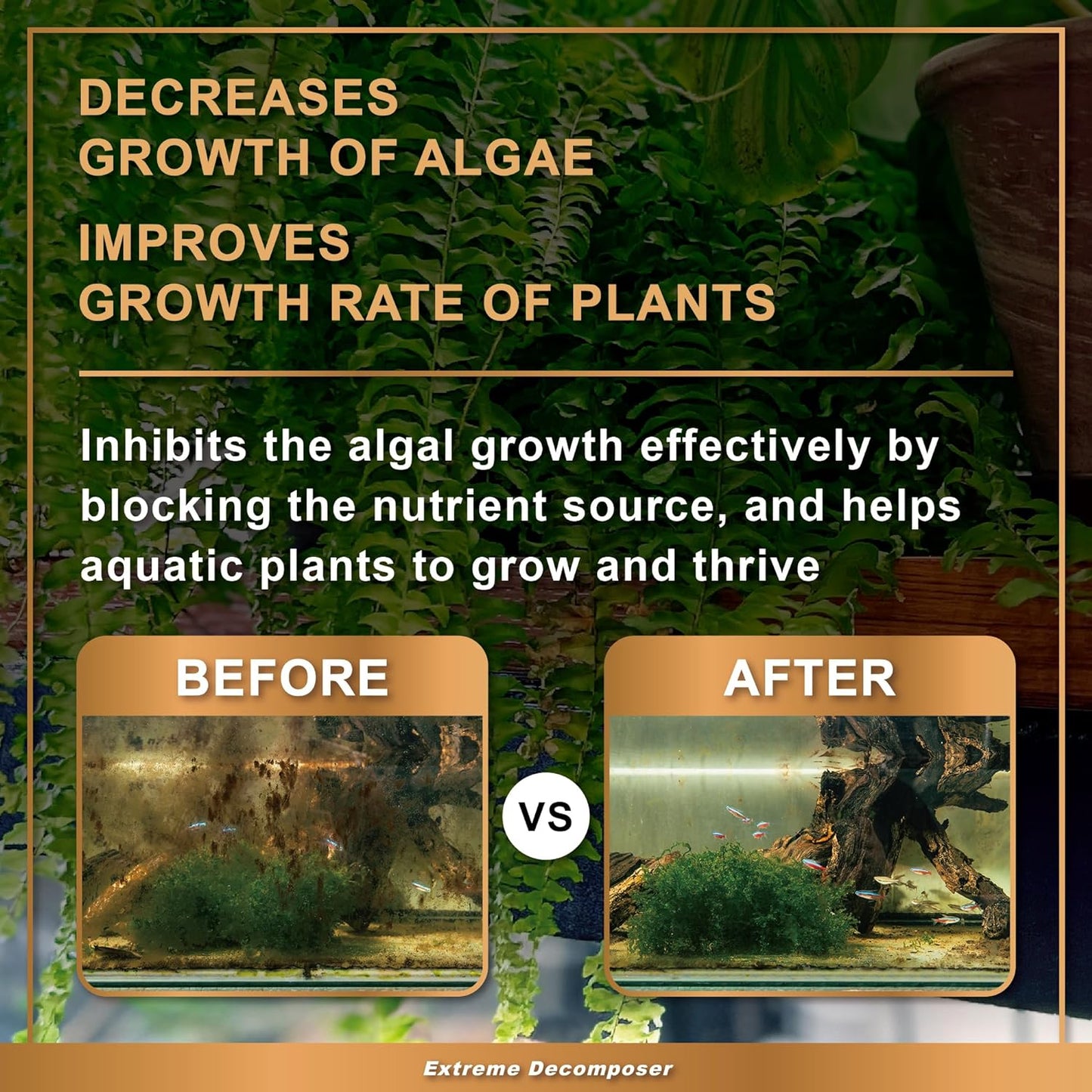 AZOOPLUS BIO XD Extreme Decomposer Nitrifying Bacteria for Freshwater and Saltwater Fish Tank 4.05 Ounces