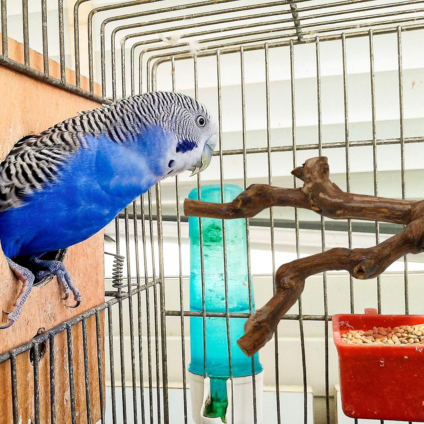 2 Packs Parrot Bird Perches,Natural Wild Grape Stick Grinding Paw Climbing Standing Cage Accessories Toy for 3-4 Parakeets, Budgies, Lovebirds,Cockatiels (Style-1)