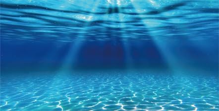 Natural Undersea Aquarium Background, Underwater Ocean Sunlight Fish Tank Background 36X20IN with 8 EVA Double-Sided Tape
