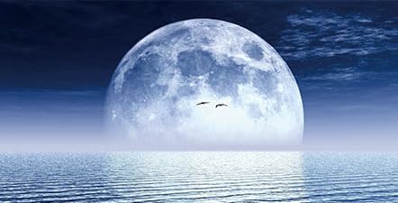 Moon Aquarium Background,Cool Sea Galaxy Parallel Space Themed Fish Tank Background, Cool Terrarium Background 72X18IN with 8 EVA Double-Sided Tape