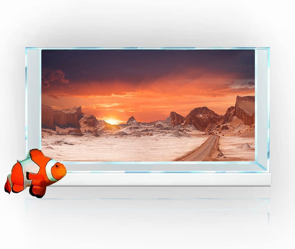 36X18IN Sun and Desert Moon Themed Reptile Habitat on Orange Durable Decorative Background, Terrarium Background with 10EVA Double-Sided Tape