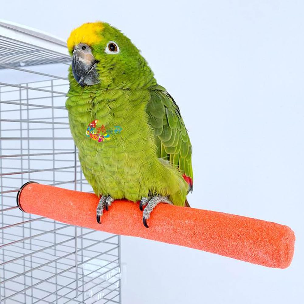10 PCS Parrot Perch Stand Bird Perch Stand Toy Colorful Paw Grinding Stick Cage Wooden Parakeet Perch Accessories for Cockatiels （7.87in/0.59in）