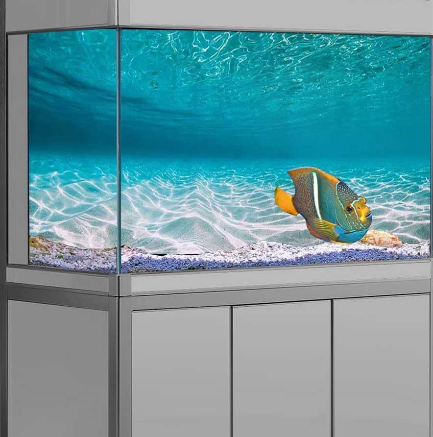 60X24IN Natural Undersea Aquarium Background, Undersea Beach Fish Tank Background, with 8 EVA Double-Sided Tape