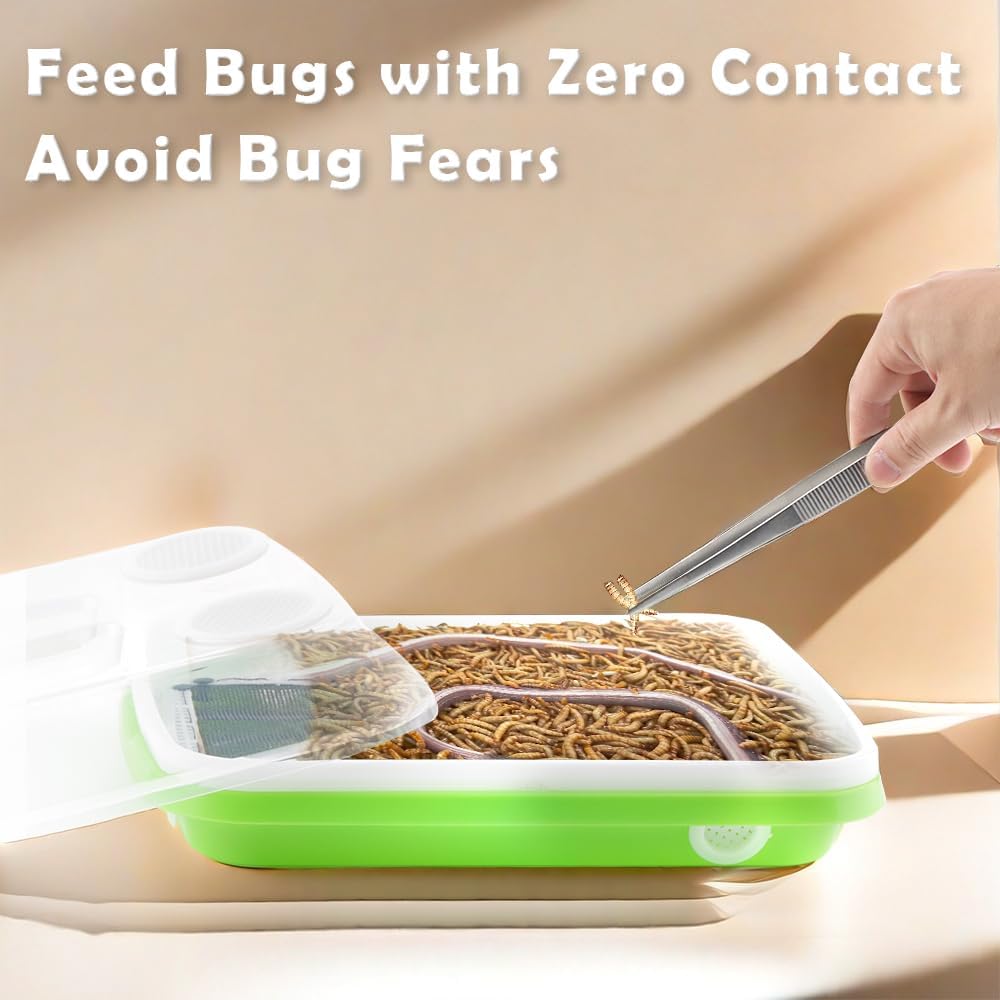 1 Pack Mealworms Breeding Kit Mealworms Keeper with 2 Pcs Insect Stainless Steel Tweezers to Breed Live Worms for Reptile Bearded Dragon Leopard Gecko Lizard Frog Bird Chicken