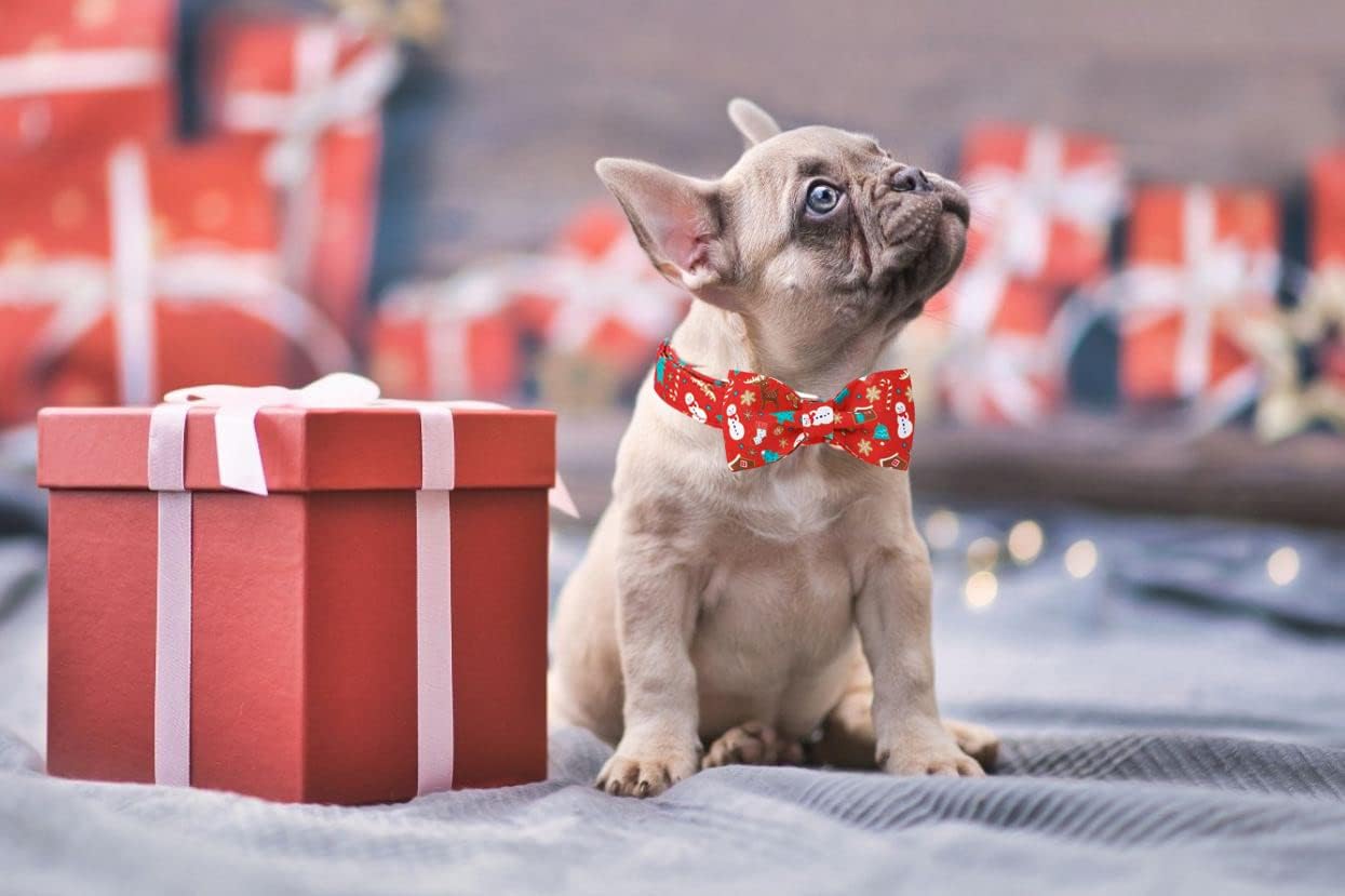 Lionet Paws Christmas Dog Collar with Bowtie, Dog Bowtie Collar with Metal Buckle for Dogs and Cats, Adjustable Comfortable Dog Collar Girl Boy Gift, S, Neck 10-16 in