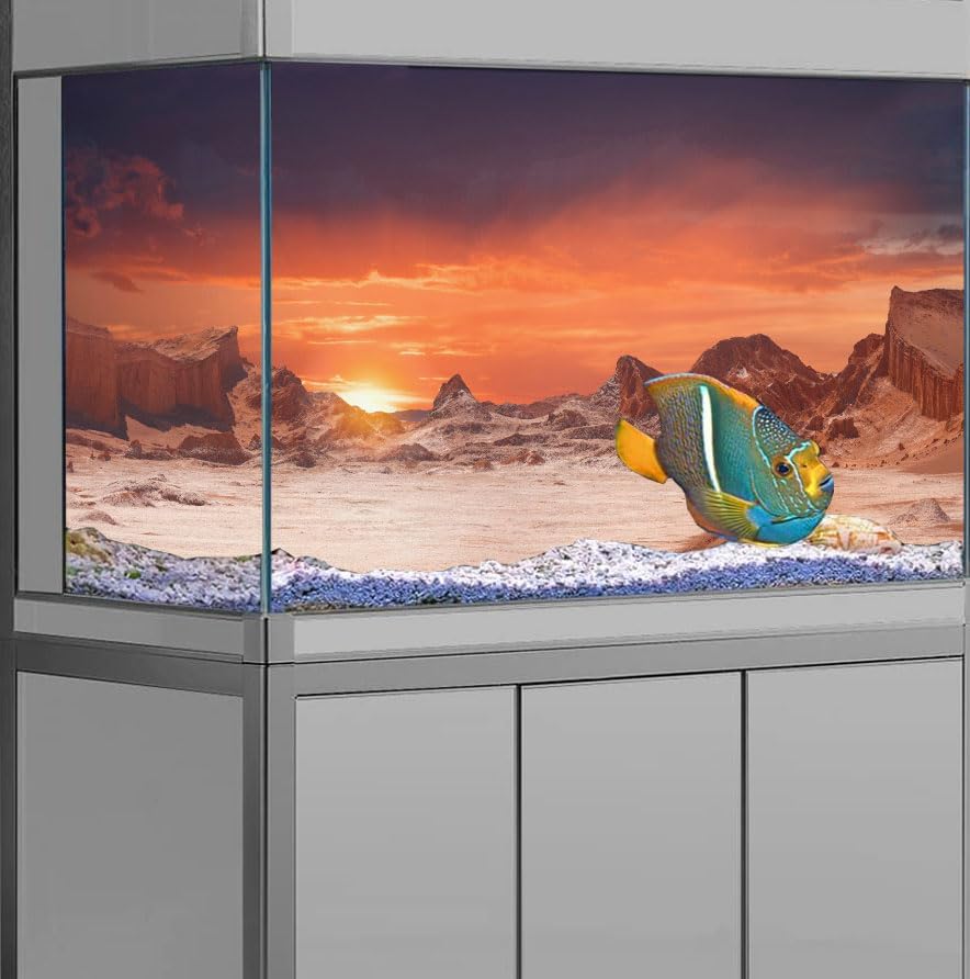 72X18IN Sun and Desert Moon Themed Reptile Habitat on Orange Durable Decorative Background, Terrarium Background with 10EVA Double-Sided Tape