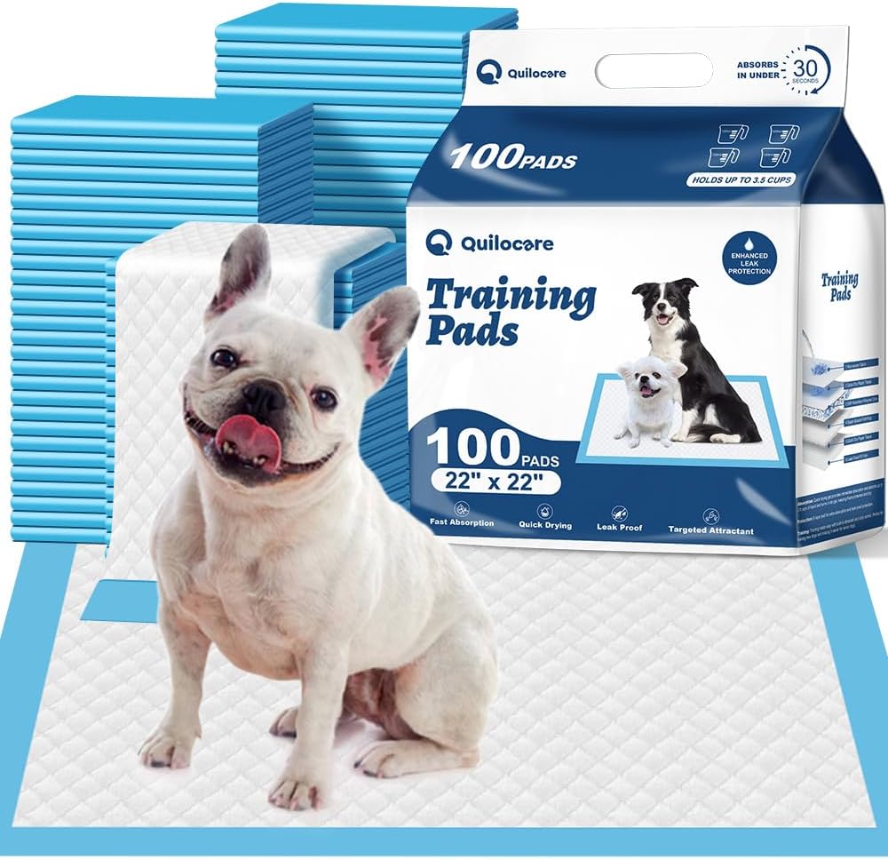 100 Count 22” x 22” Disposable Dog Pee Pads, Super Absorbent Leakproof Puppy Pads Quick Drying, Pee Pads for Dogs, Potty Dog Training Pads