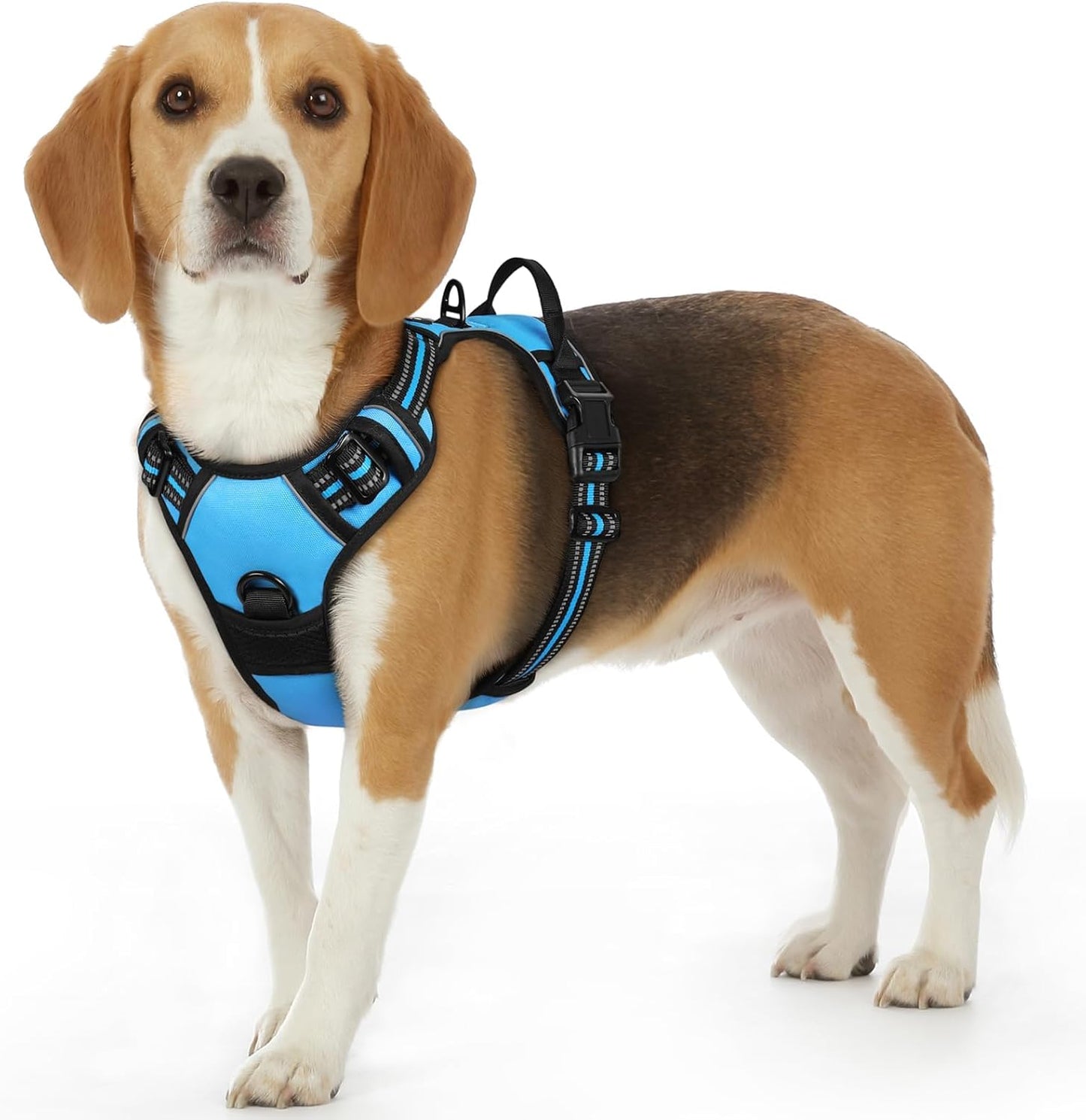 Eagloo Dog Harness Small Sized Dog, No Pull Service Vest with Reflective Strips and Control Handle, Adjustable and Comfortable for Easy Walking, No Choke Pet Harness with 2 Metal Rings, Sky Blue, S