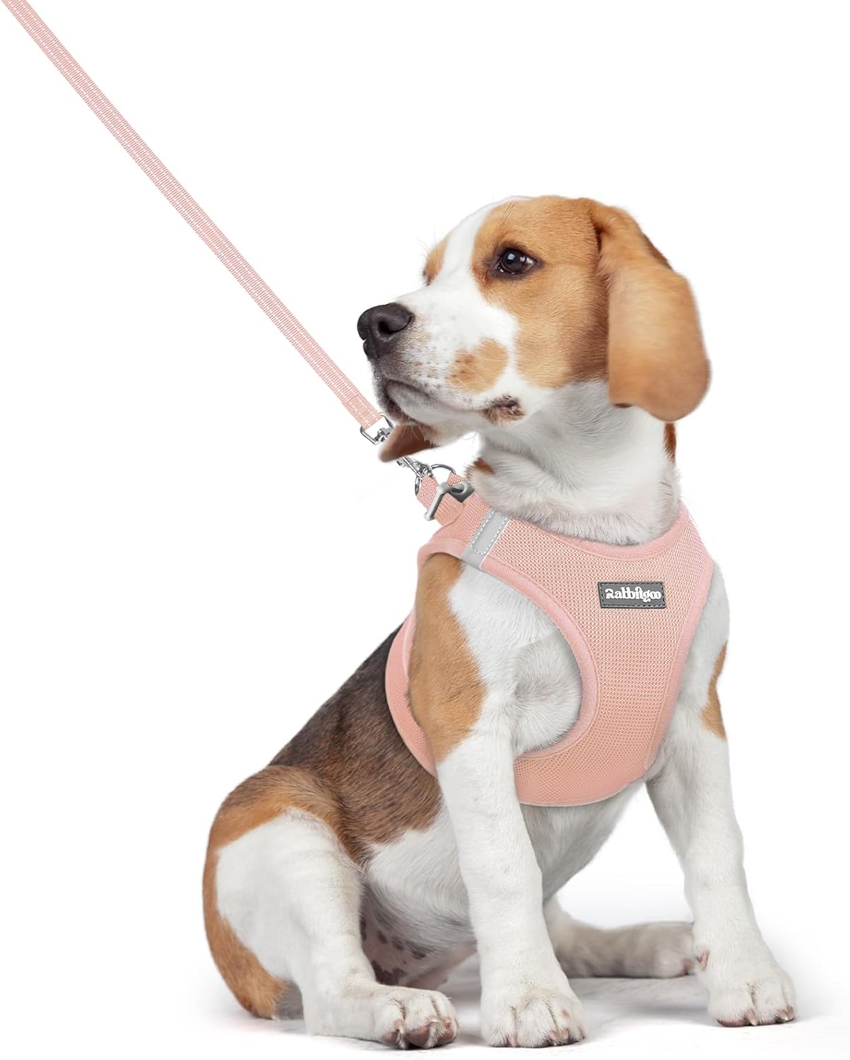 rabbitgoo Dog Harness Small Medium Sized and Leash Set, Step in Soft Light Puppy Vest, Breathable Mesh Pet Harness, Reflective for Safe Outdoor Walking, Pink L