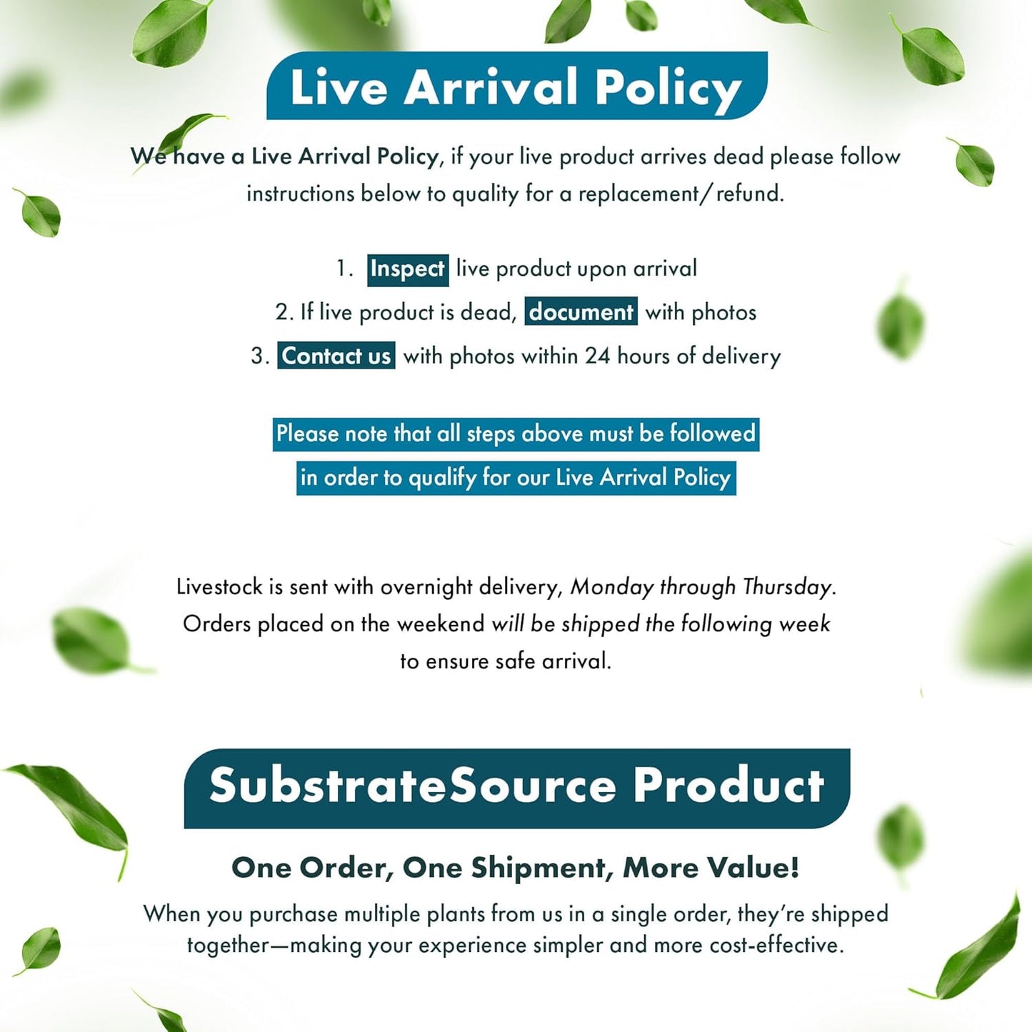 SubstrateSource Live Aquarium Red Stem Plants - Freshwater Aquatic Plant for Fish Tanks, Aquascaping - (Rotala Blood, 1 Bunch)