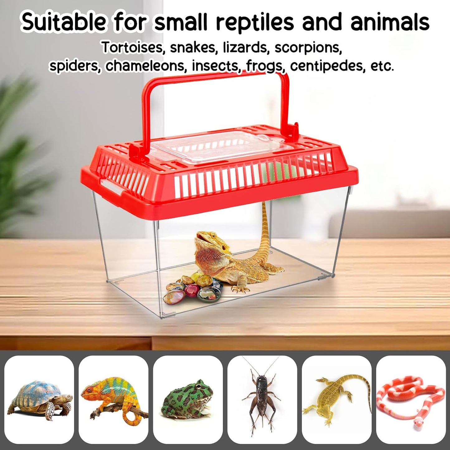 12Pcs Plastic Reptile Terrariums Carrier Cage, Tarantula Enclosure Snake Breeding Box Hatching Container Transparent Fish Tank Turtle Aquarium with Random Color Lid for Lizards, L(8.7" x 5.5" x 5.9")