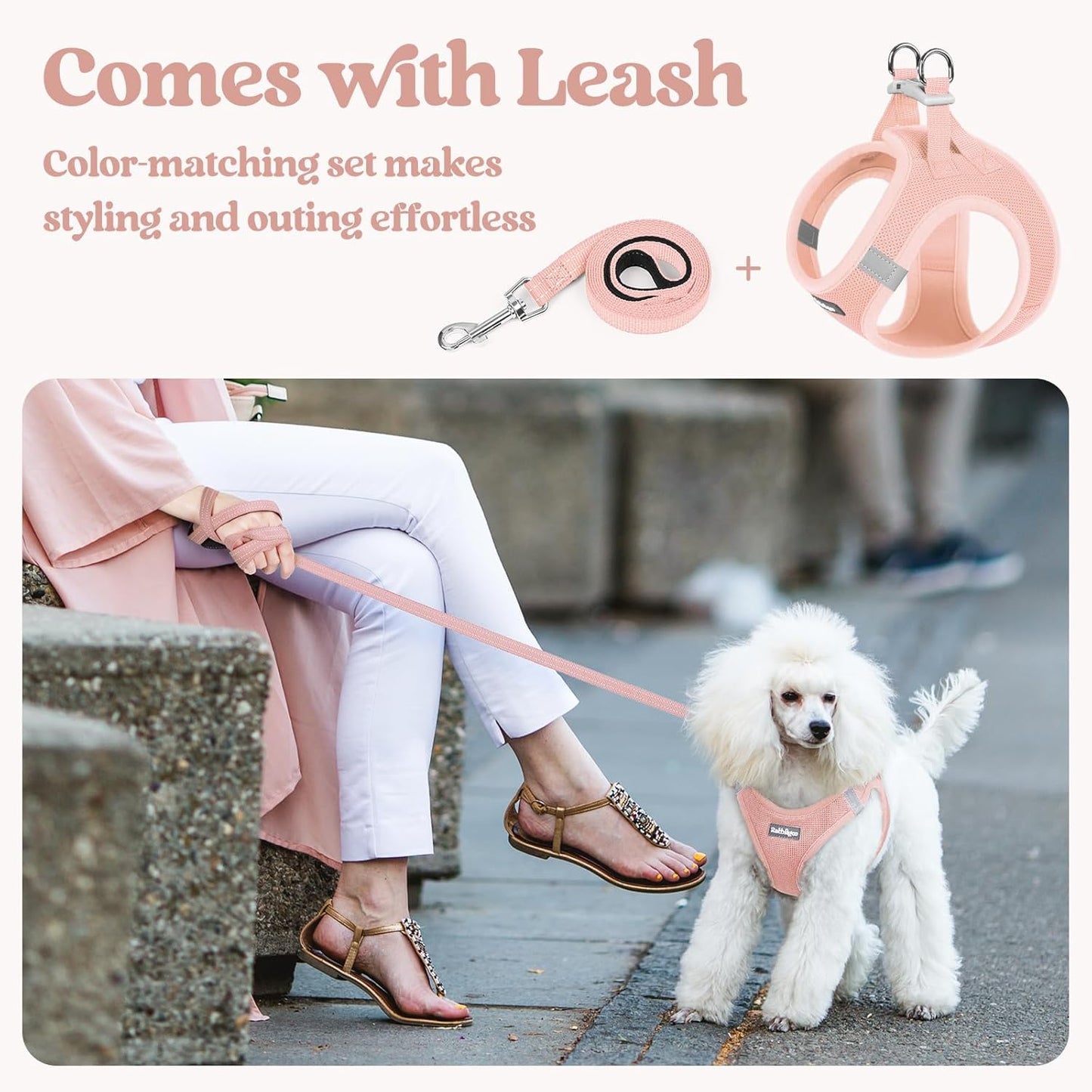 rabbitgoo Dog Harness Small Sized and Leash Set, Step in Soft Light Puppy Vest, Breathable Mesh Pet Harness, Reflective for Outdoor Safe Walking, Pink XL