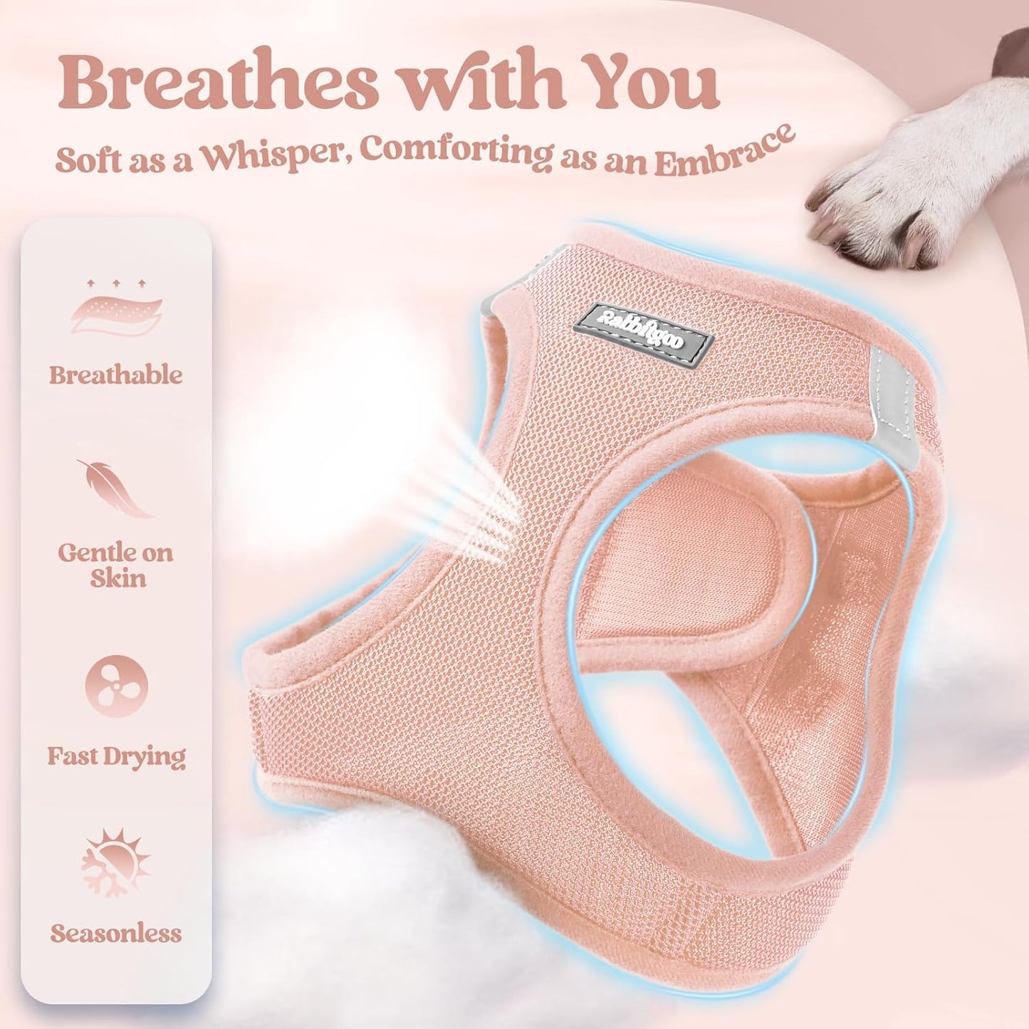 rabbitgoo Dog Harness Small Sized and Leash Set, Step in Soft Light Puppy Vest, Breathable Mesh Pet Harness, Reflective for Outdoor Safe Walking, Pink XL