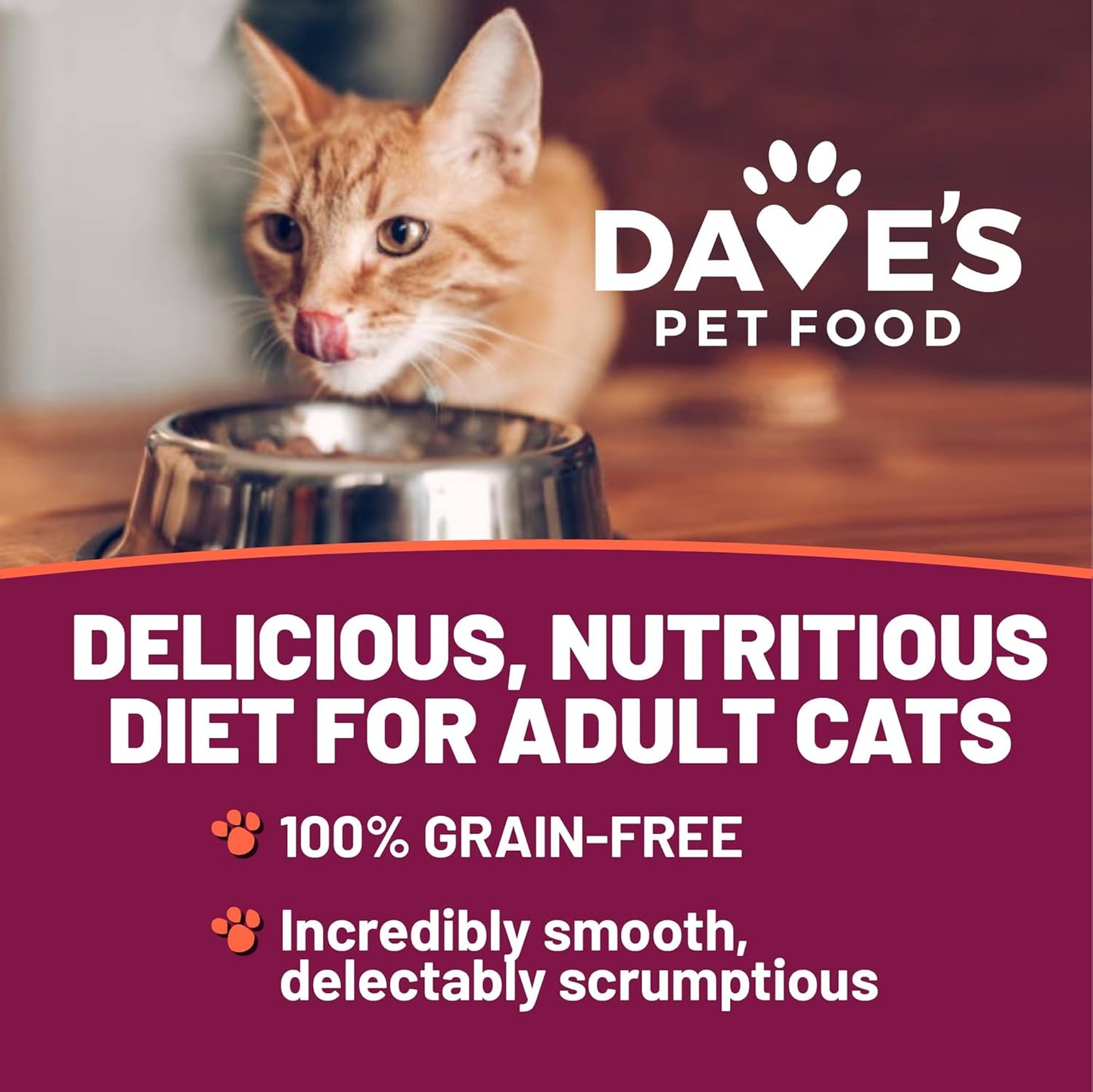 Dave's Pet Food Grain Free Wet Canned Cat Food Pate (Gobblicious Gourmet), Made in USA Naturally Healthy, Added Vitamins & Minerals, 5.5 oz Cans (24 Pack)