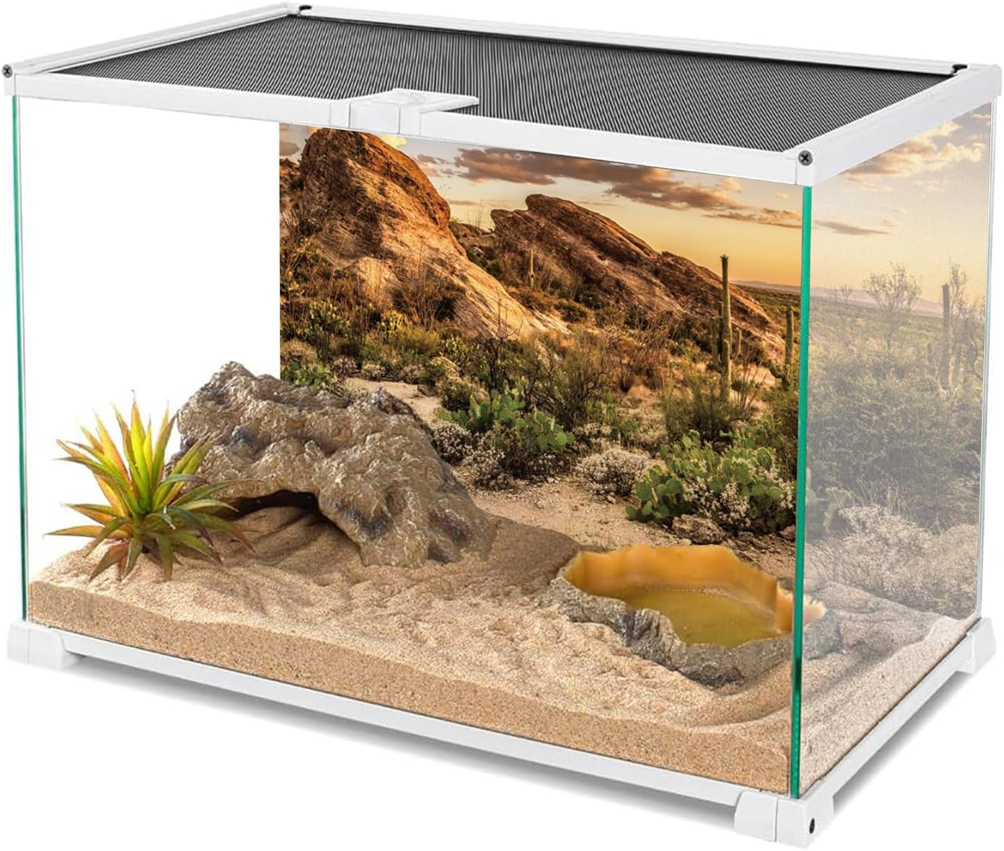 AWERT Reptile Habitat Background Blue Sky Oasis Cactus Sun and Desert Terrarium Background 48x24 inches Durable Polyester Background