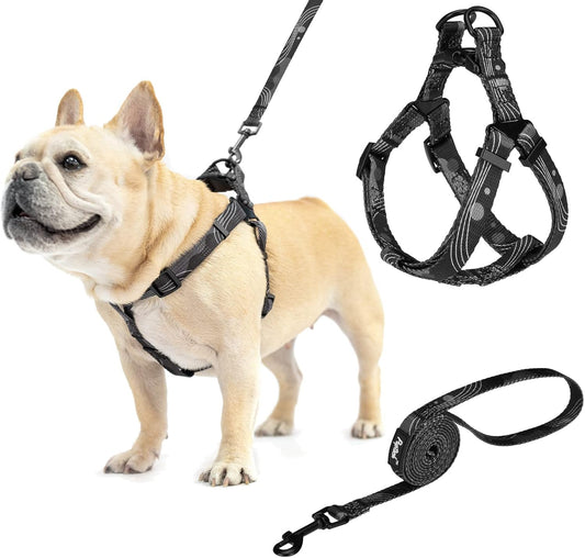 PUPTECK No Pull Dog Harness Soft Adjustable Basic Nylon Step in Puppy Vest Outdoor Walking with Leash Medium