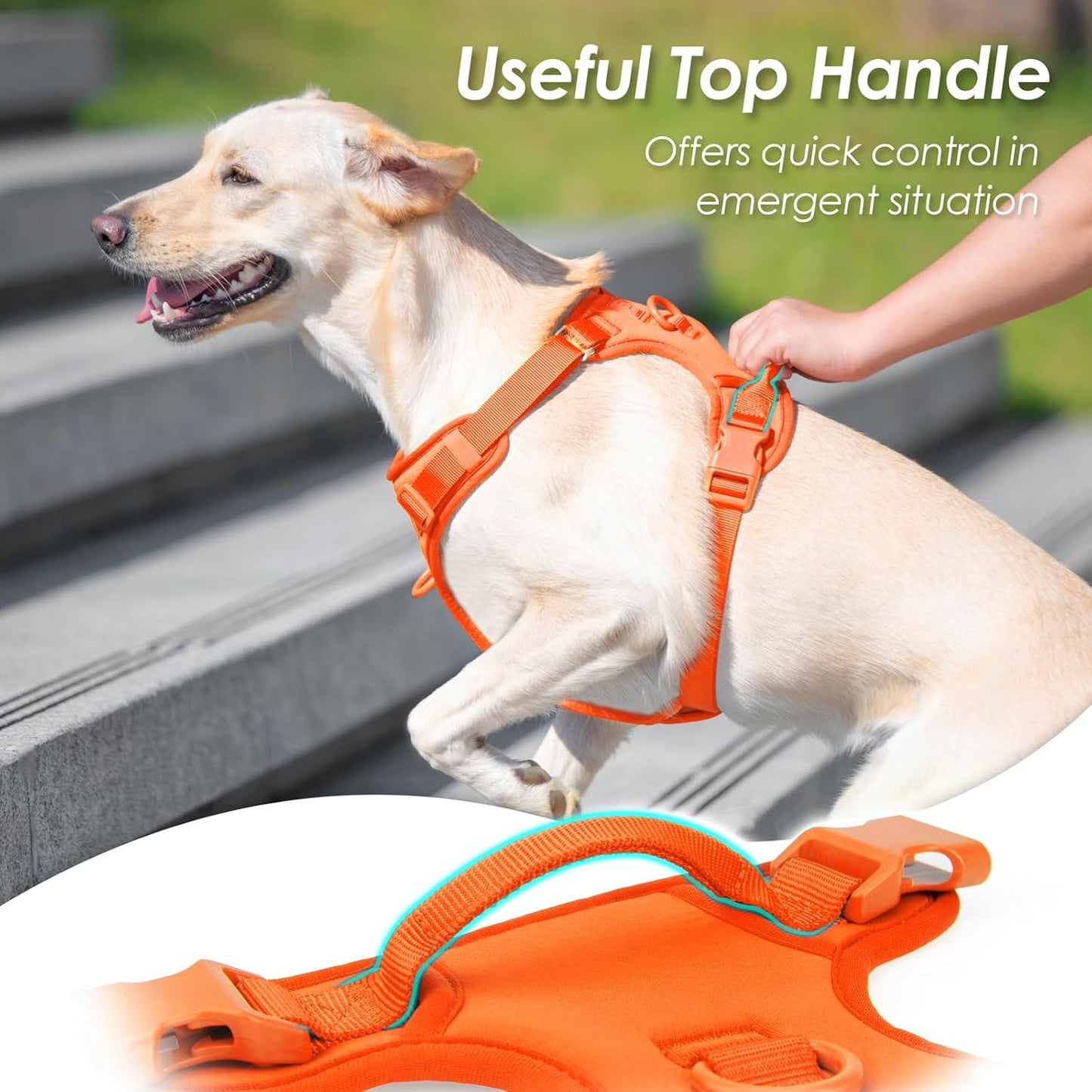 No Pull Dog Harness, Puppy Vest with Front Clip for Small Medium Large Sized Dog(Orange,XS)