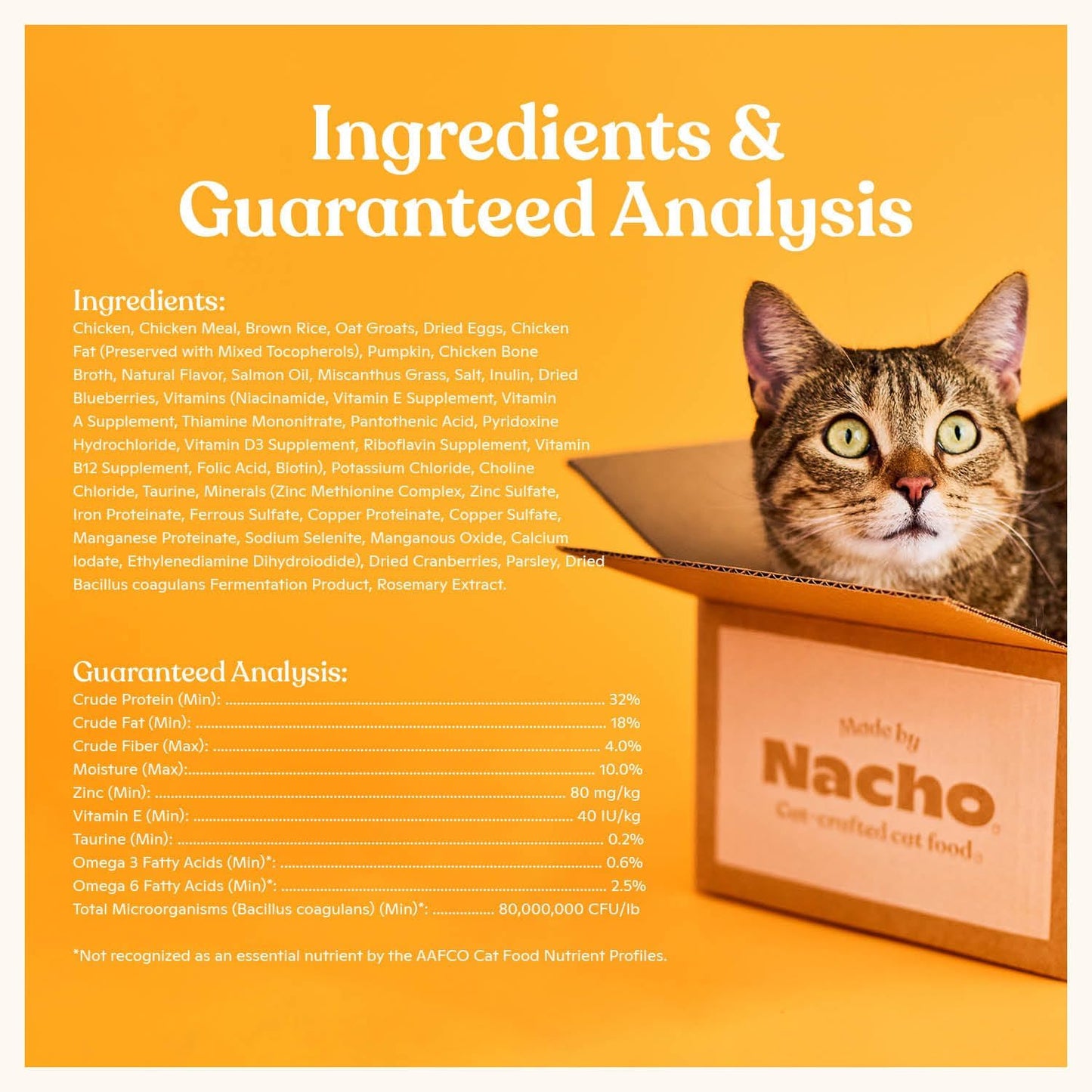 Made by Nacho Dry Cat Kibble 4lb Bag, High Protein and Grain-Friendly Premium Cat Food, Cage-Free Chicken & Pumpkin Recipe, Infused with Bone Broth for Hydration, Limited Ingredients, Single Bag