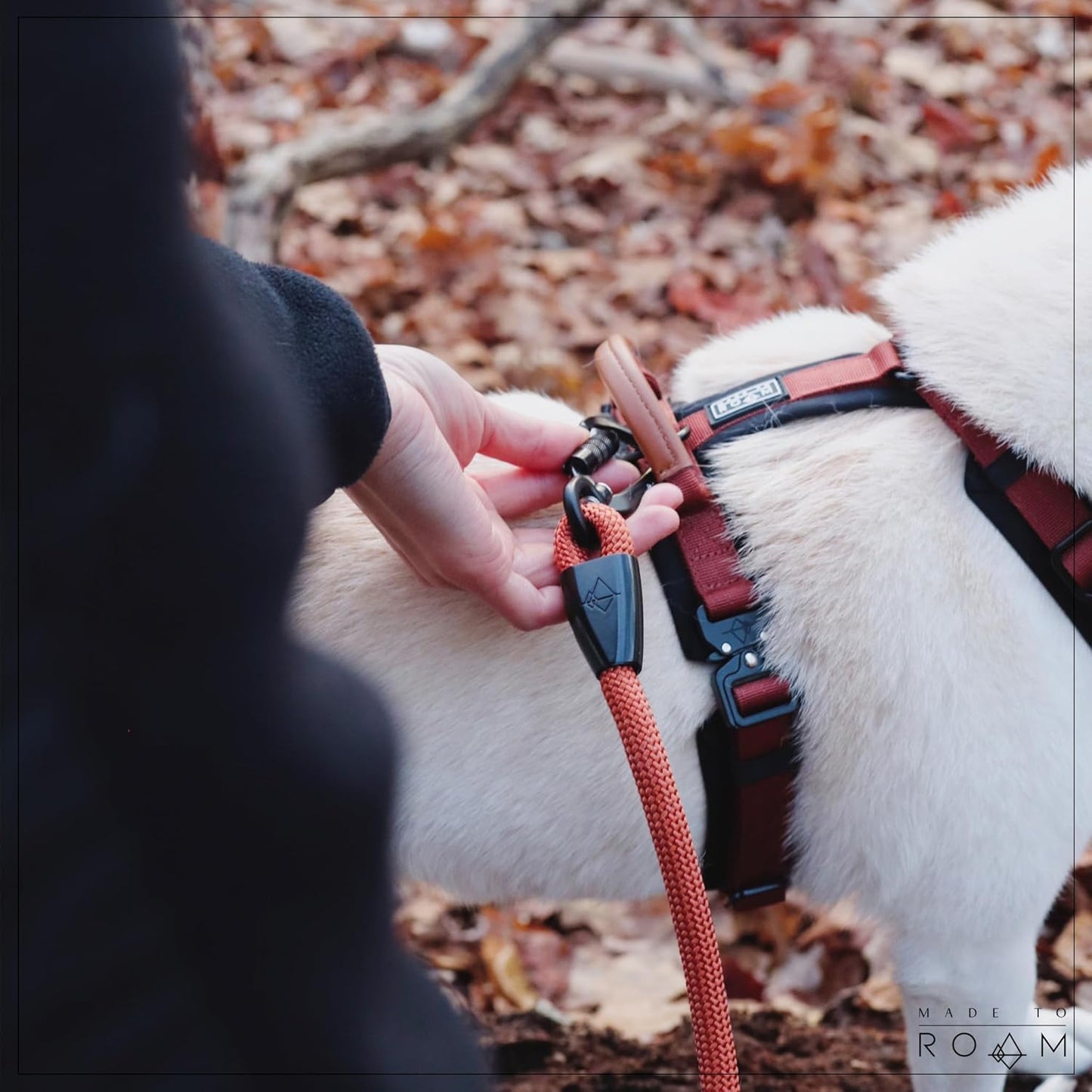 MADE TO ROAM Premium Explorer Harness - Y-Shaped Dog Harness with Adjustable Durable Nylon, Soft Padding, Metal Buckles and Leather Handle for Small, Medium, Large Dogs (New York Afterlight, Size 5)