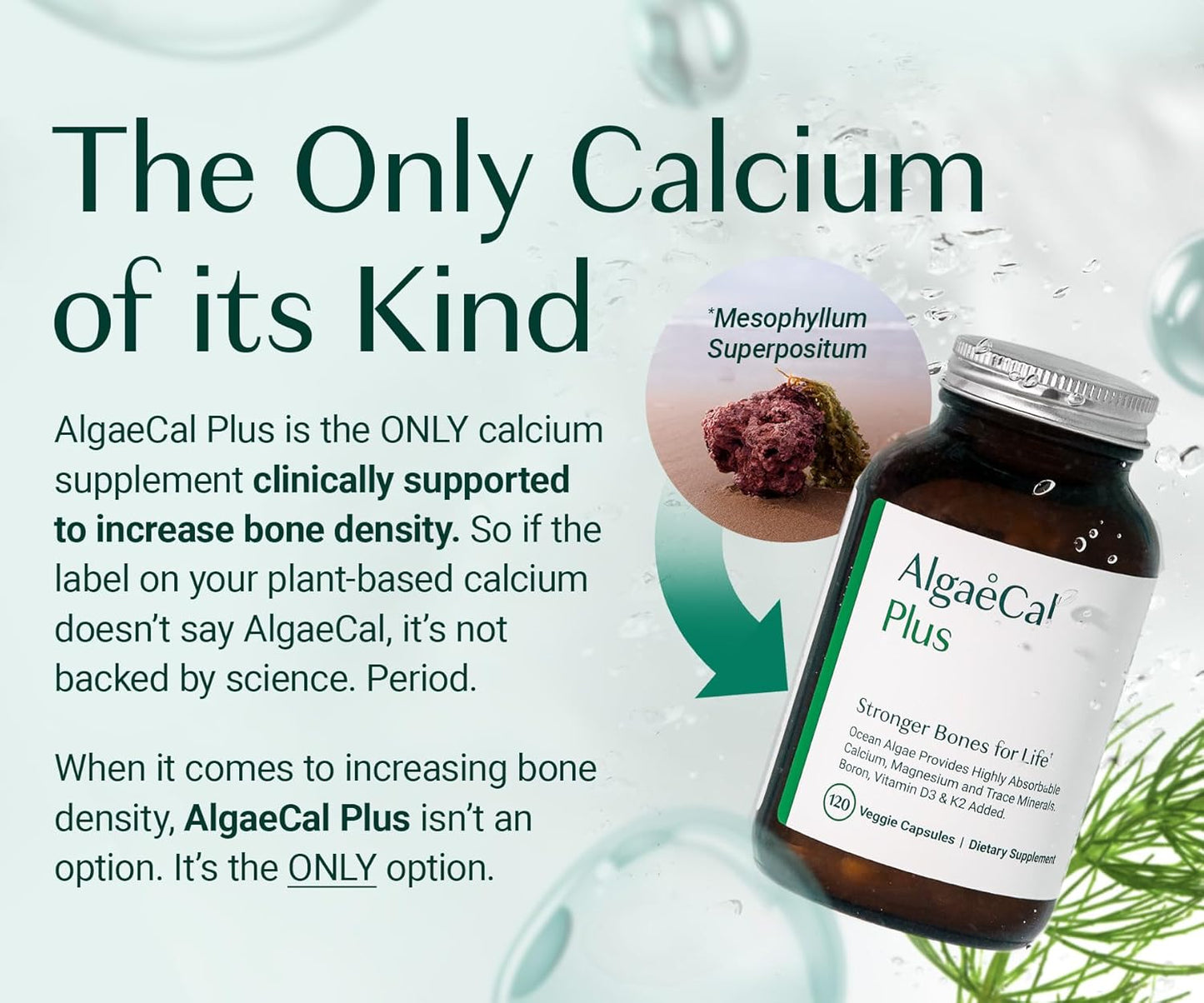 AlgaeCal - Bone Builder Pack for Bone Density Increase, Clinically Supported Plant Based Calcium Supplement & Strontium, Vitamins K2 (100mg), D3 (1600 IU), Magnesium & 16 Essential nutrients