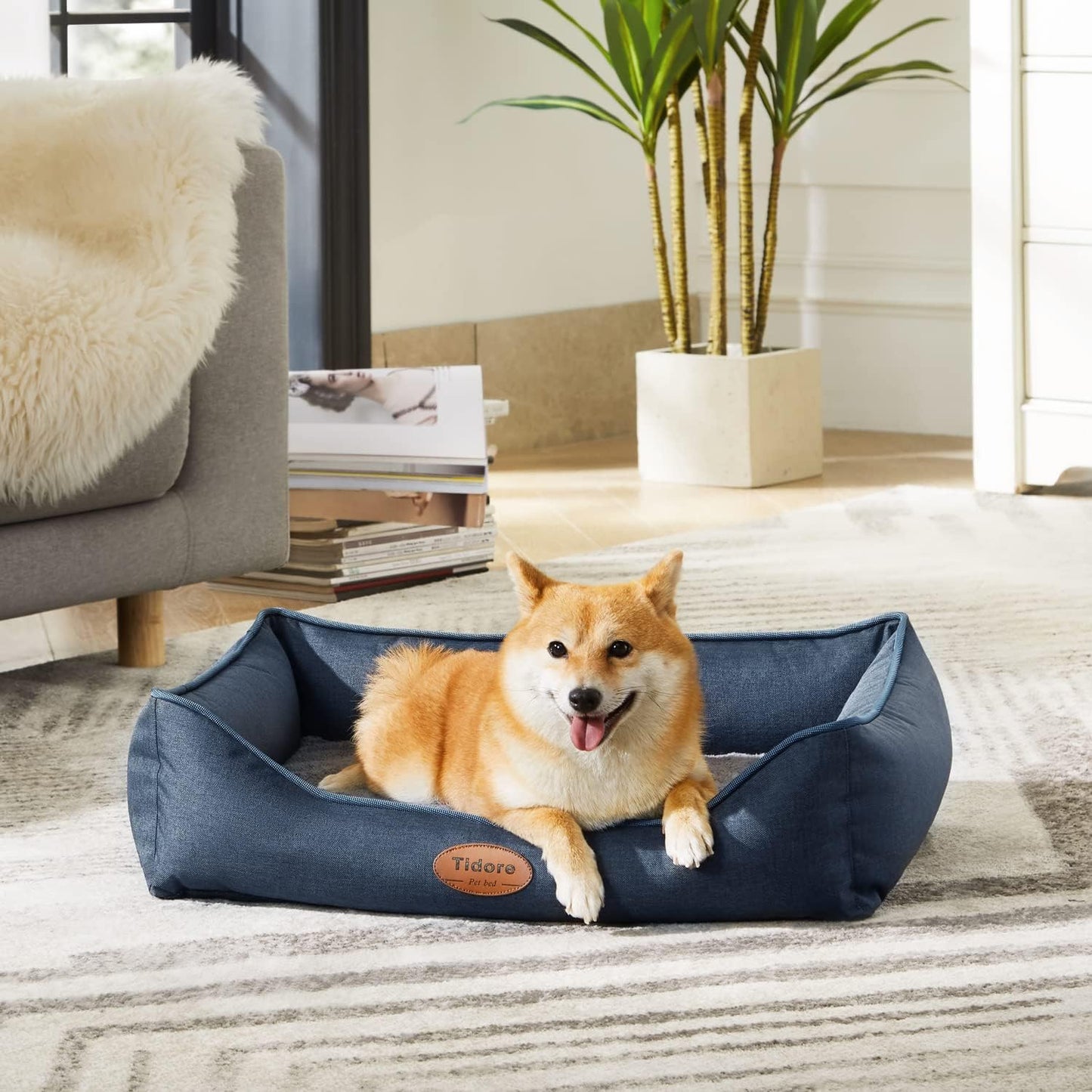 Orthopedic Dog Beds for Medium Dogs, Durable Egg Crate Foam Sofa Dog Bed wit Washable Removable Cover,Waterproof Lining,Pet Bed for Large Dogs (Navy Blue, 26.4" L x 21.7" W x 6.2" Th)