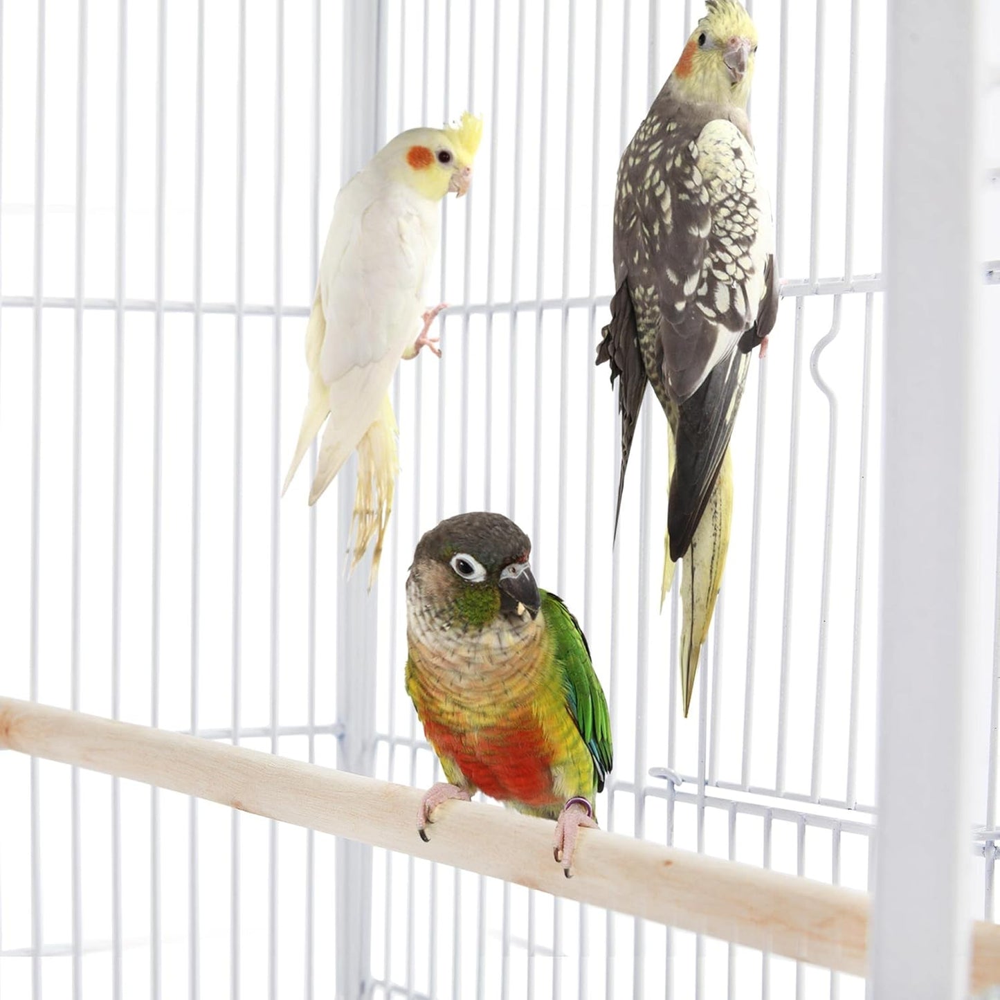 Yaheetech Stackable Divided Breeder Bird Cage Parakeet Cage for Small Parrots Canaries Cockatiels Lovebirds Finches Budgies, White