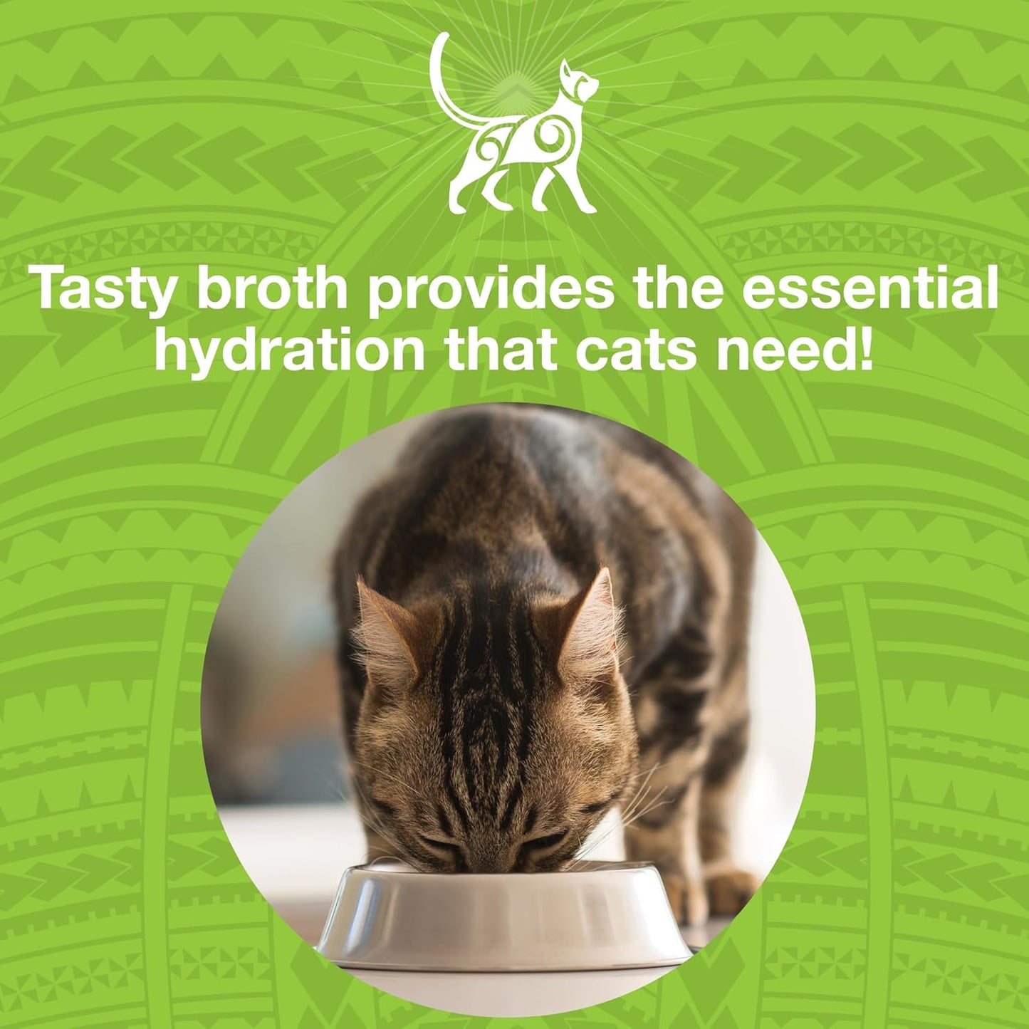 KOHA Pure Shreds Chicken and Duck Entrée for Cats, High Protein Wet Cat Food, 5.5oz Cans (Pack of 12)