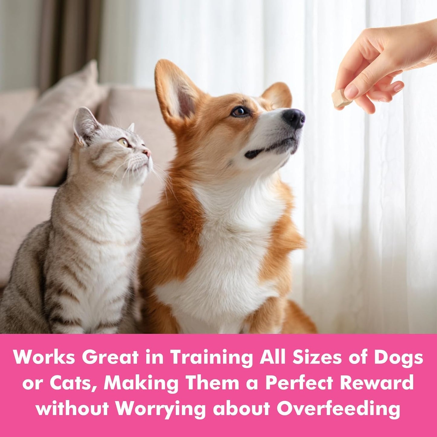 Freeze Dried Cats & Dogs Raw Treats, All Natural Single Ingredient Chicken Breast, High Protein Healthy Pet Training Treats or Food Topper, 6 oz