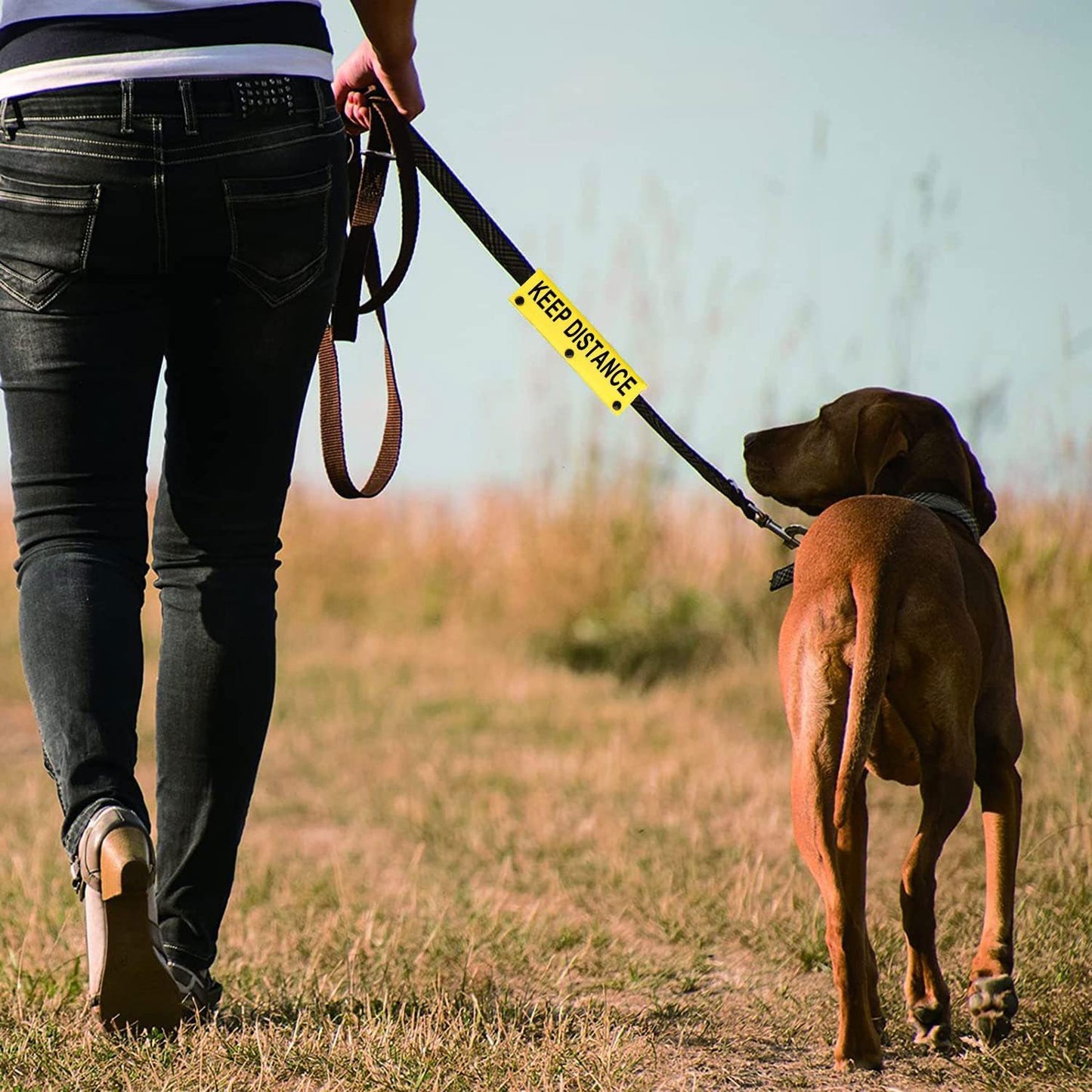 Funny Dog Leash Sleeve Keep Distance Dog Leash Wrap Sleeve Pet Birthday Gift (Keep Distance YE Sleeve)