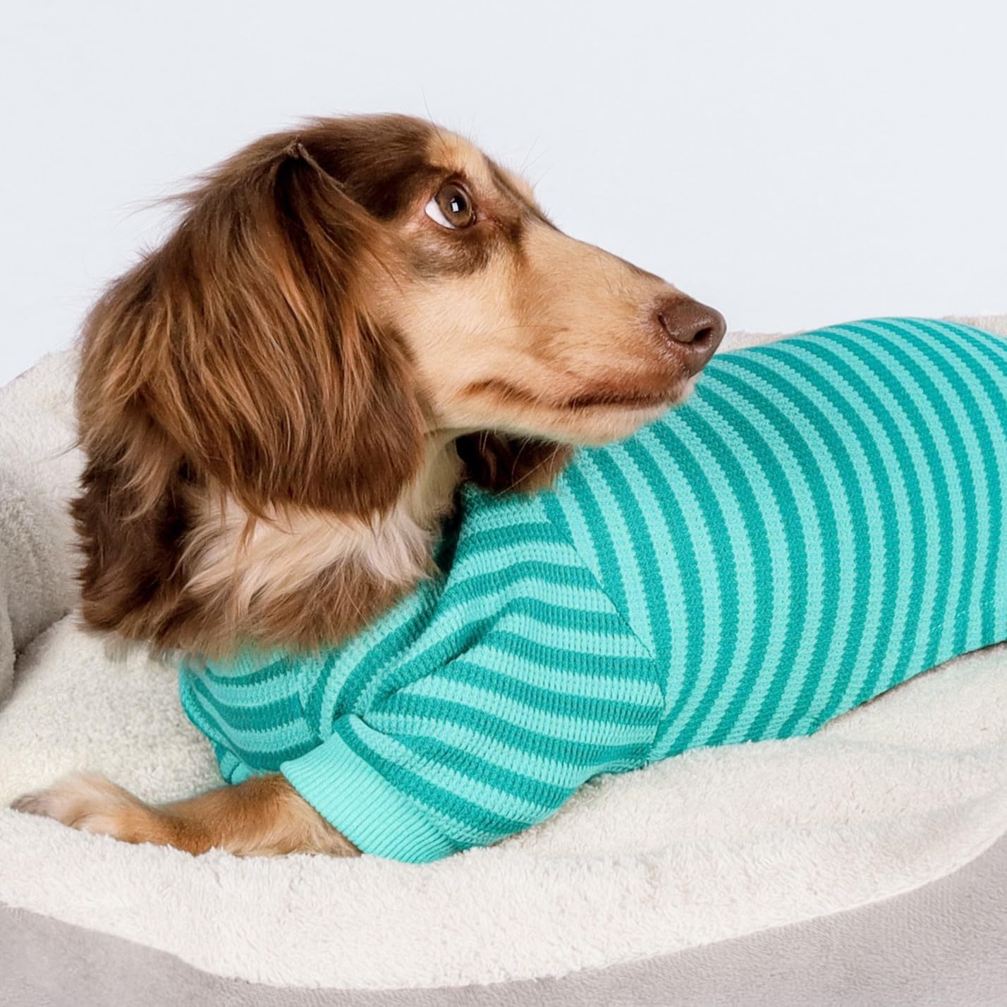 Fitwarm Green and Teal Striped Dog Pajamas, Waffle Dog Clothes for Small Dogs Girl Boy, Puppy Onesie with Feet, Pet Cat Outfit, XS