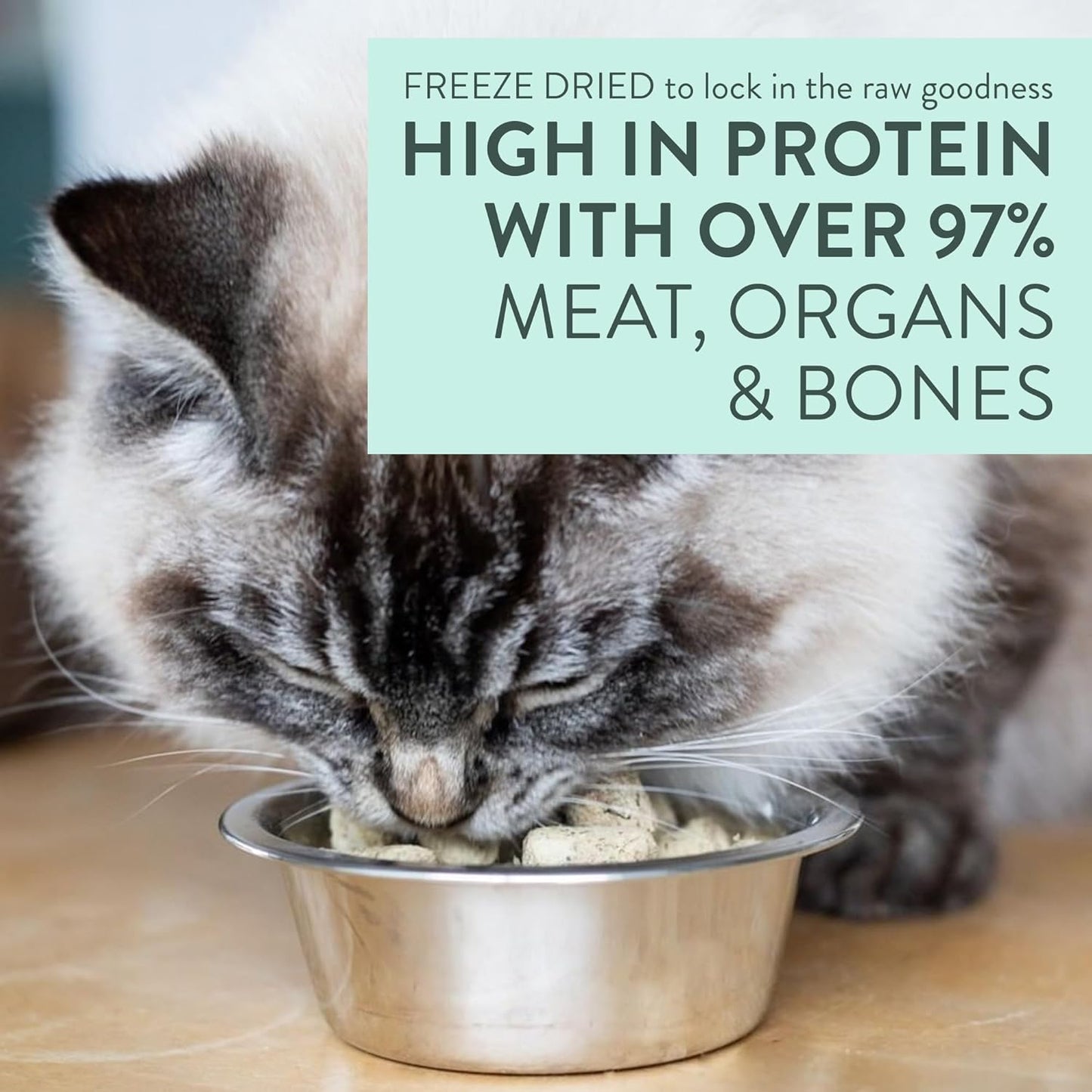 Meow Chicken & King Salmon Freeze Dried Raw Cat Food, Mixer, or Topper, or Treat - High Protein, Natural, Limited Ingredient Recipe 9.9 oz