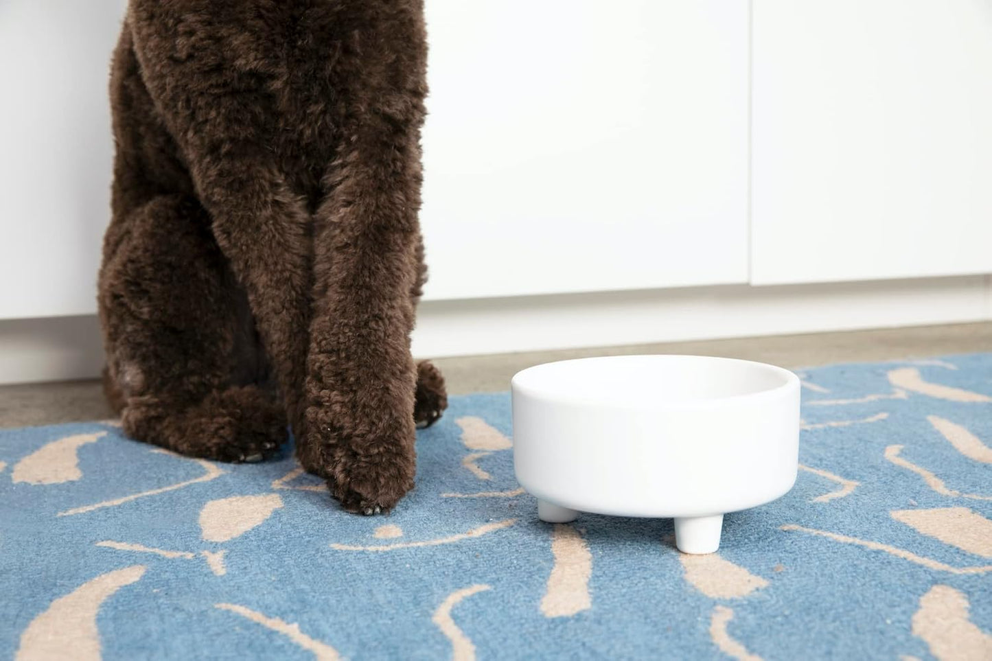 Waggo Uplift Ceramic Dog Bowl for Small Medium and Large Breeds - Heavyweight and Durable Pet Food and Water Dish Crock, Dishwasher Safe, Modern, Elevated Feeder (Teracotta, Medium)