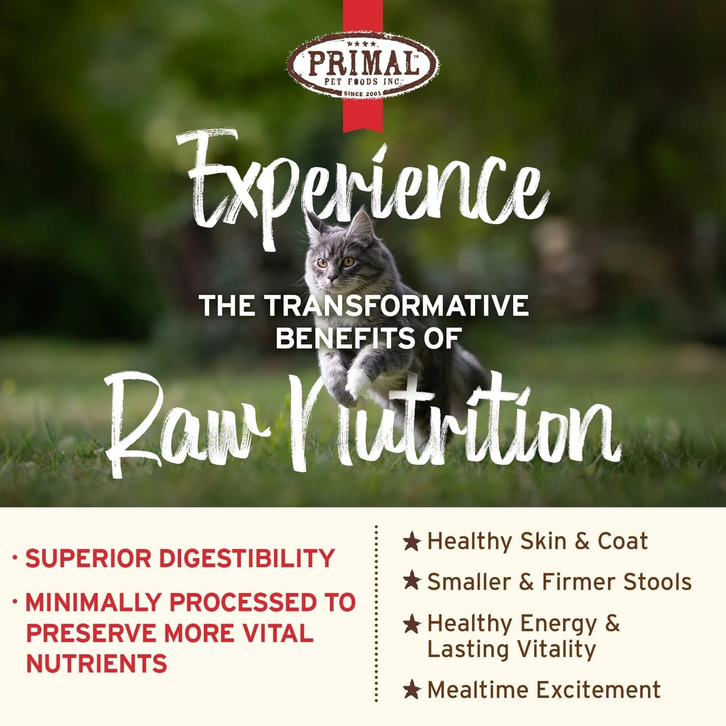 Primal Kibble in The Raw, Freeze Dried Cat Food, Chicken, Scoop & Serve, Made with Raw Protein, Whole Ingredient Nutrition, Crafted in The USA, Dry Cat Food, 64 Ounce (4 lb) Bag