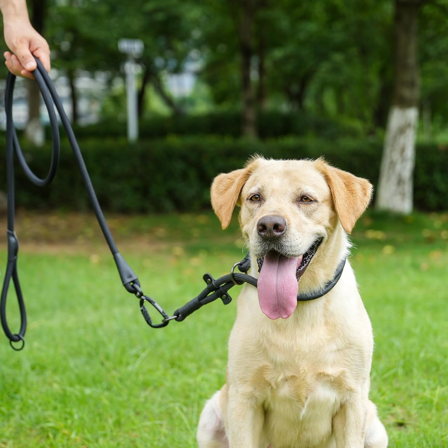 Rope Dog Leash, 4 ft Heavy Duty Dog Leash with Aviation Aluminum Auto Locking Carabiner, Strong Nylon Pet Lead for Small, Medium, Large Dogs (Rose Red, 4FT)