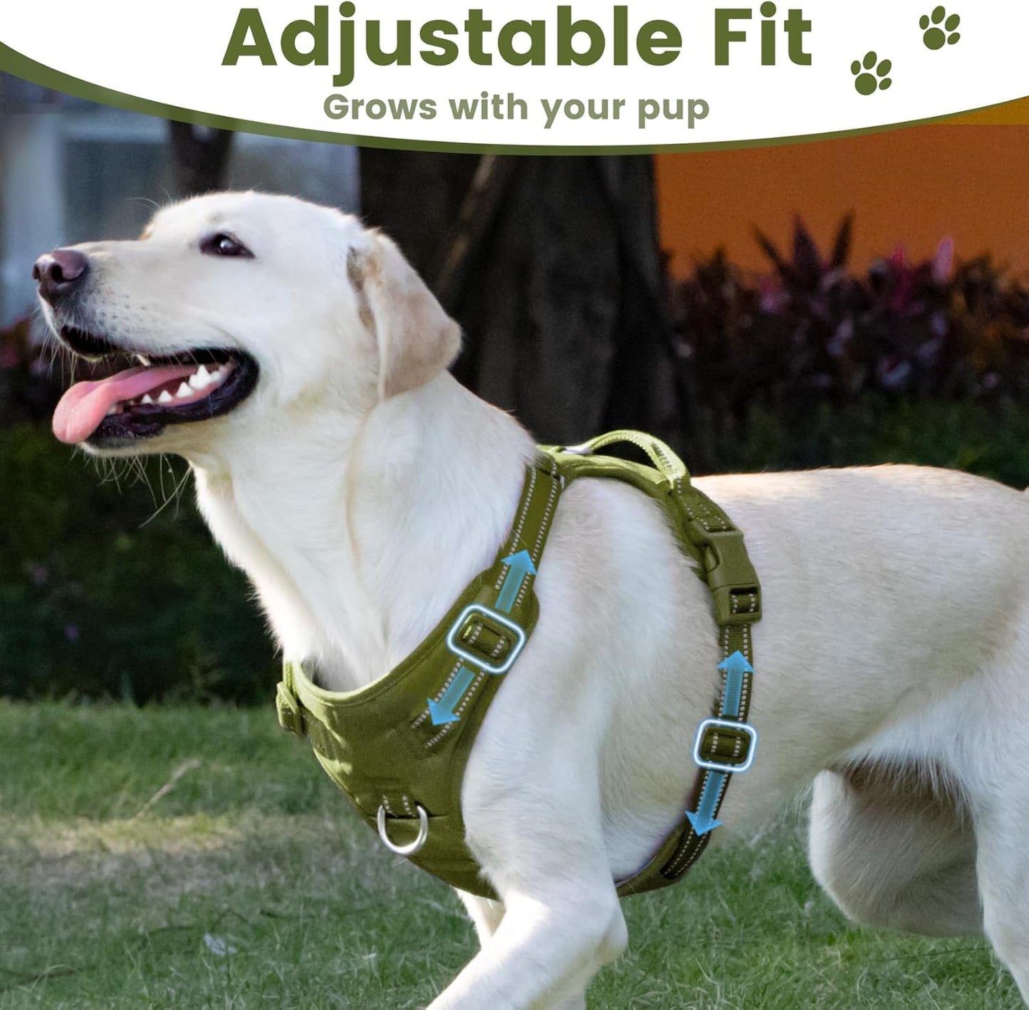 No Pull Dog Harness, Reflective Puppy Vest for Small Medium Large Sized Dog (Misty Green,L)