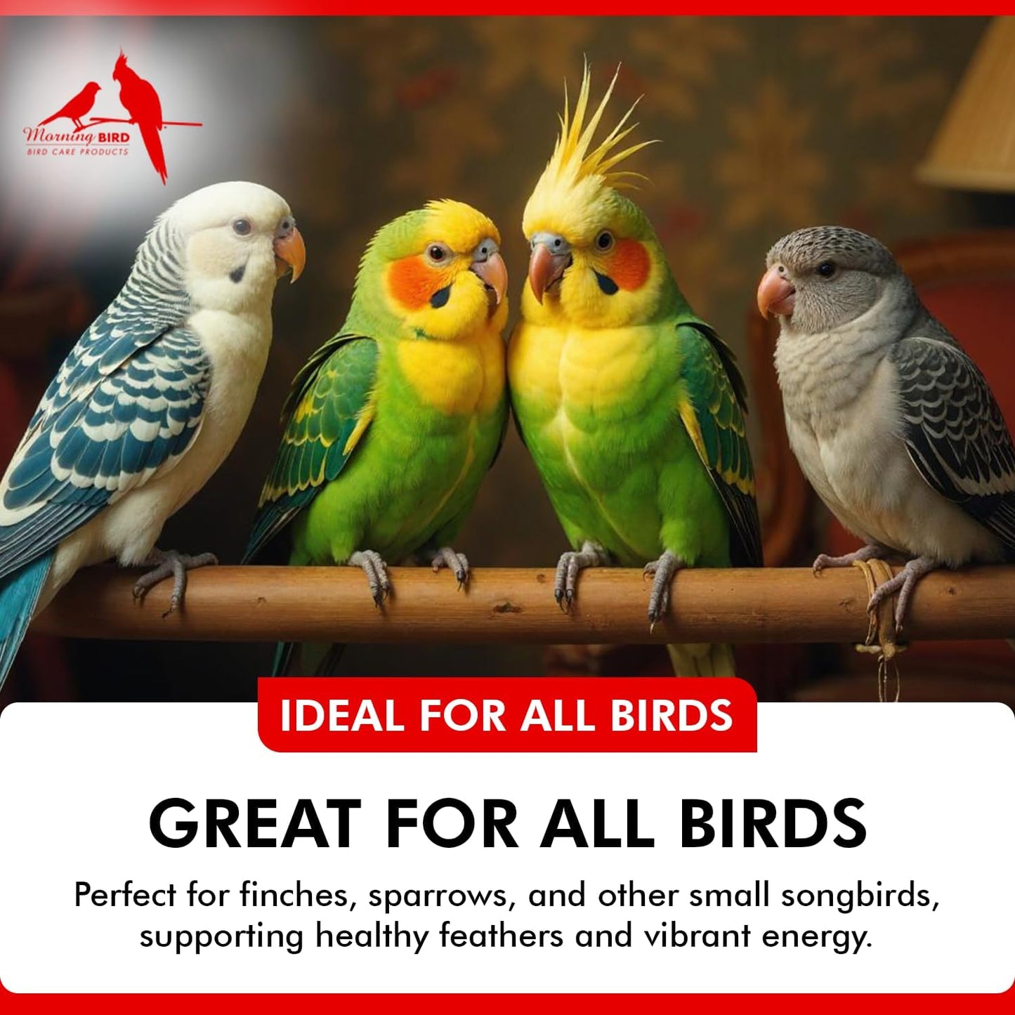 Morning Bird Calcium Plus Powder for Birds 1 oz – Calcium Carbonate Powder with Magnesium Glycinate & Vitamin D – Bone Strength & Immune Support Supplement – Calcium Formula for All Bird Sizes