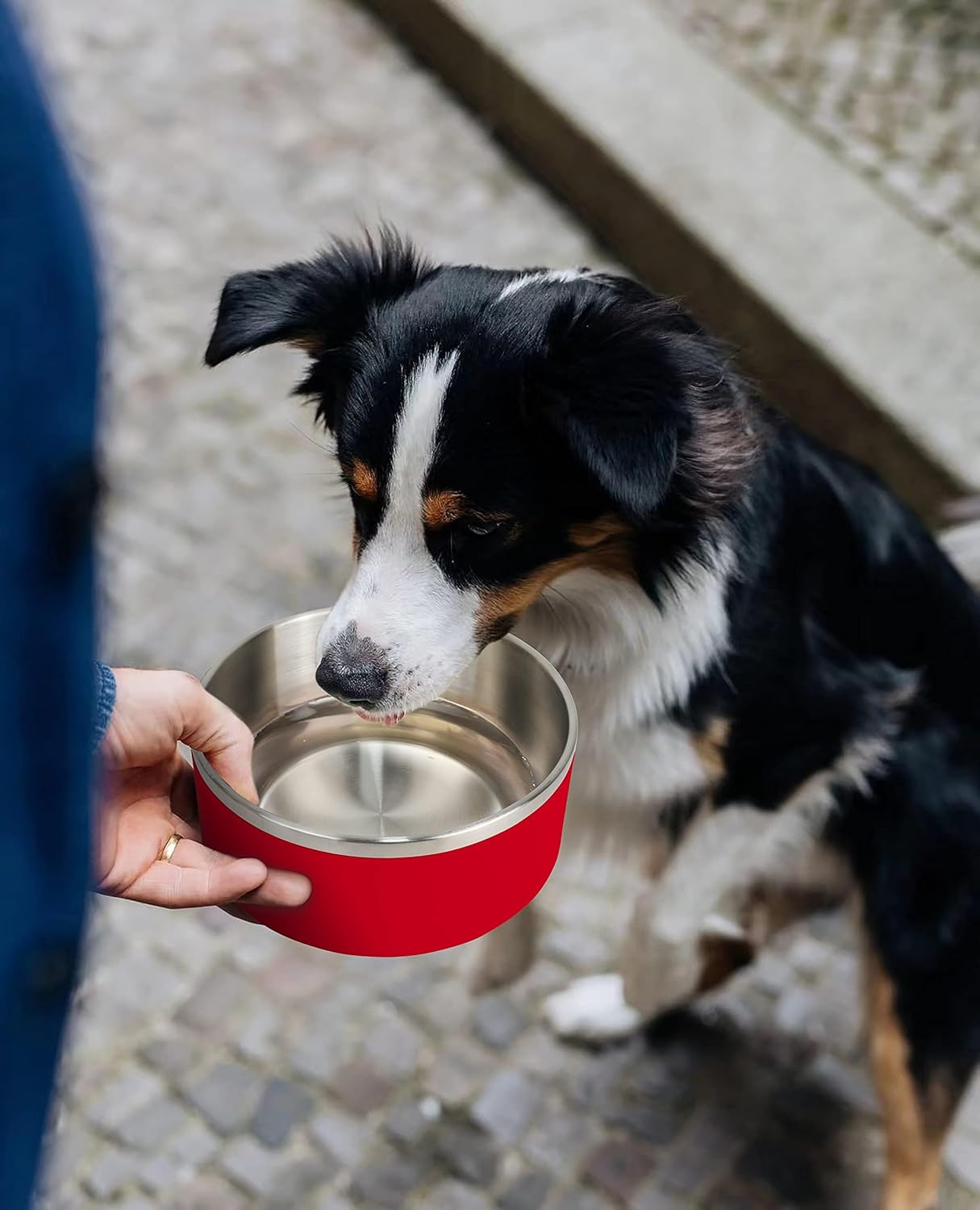 IKITCHEN Dog Bowl for Food and Water, 40 Oz Stainless Steel Pet Feeding Bowl, Durable Non-Skid Double Wall Insulated Heavy Duty with Rubber Bottom for Medium Large Dogs (40 Ounces/5 Cup, Red)