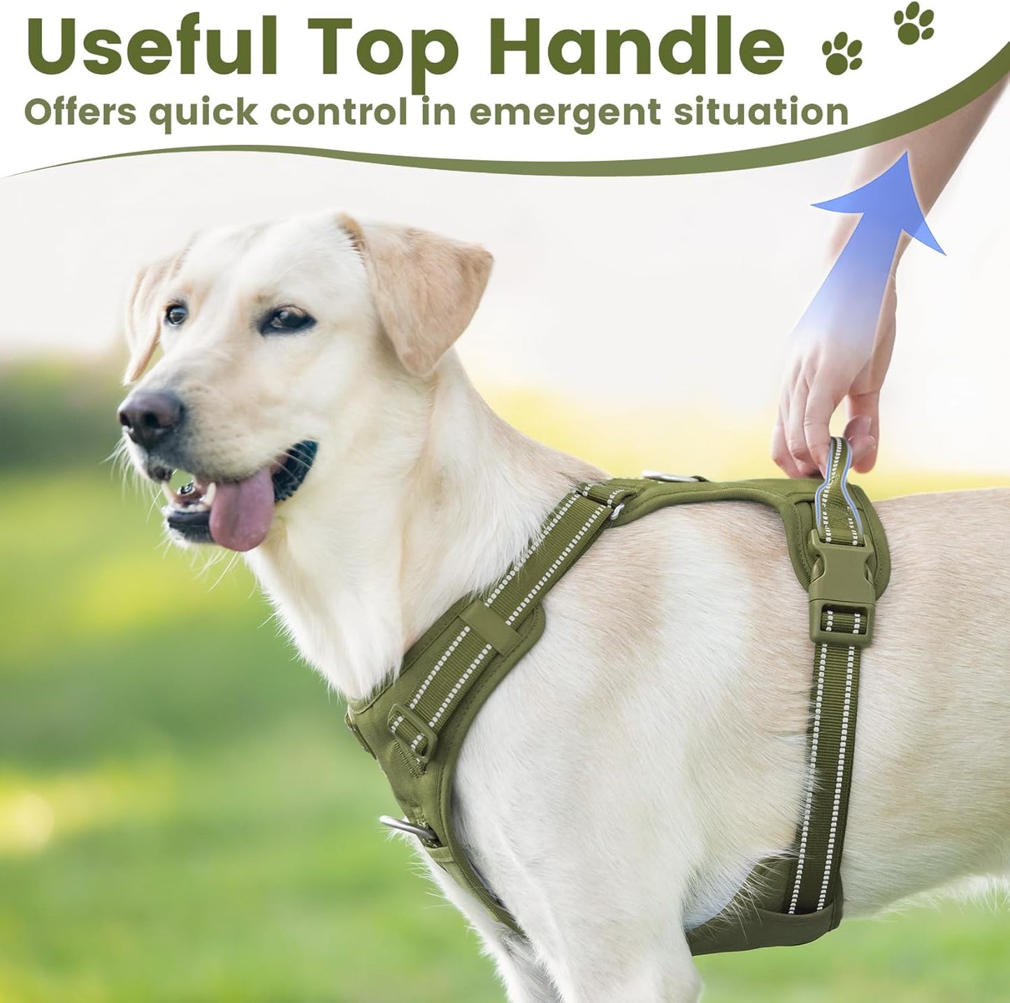 No Pull Dog Harness, Reflective Puppy Vest for Small Medium Large Sized Dog (Misty Green,S)