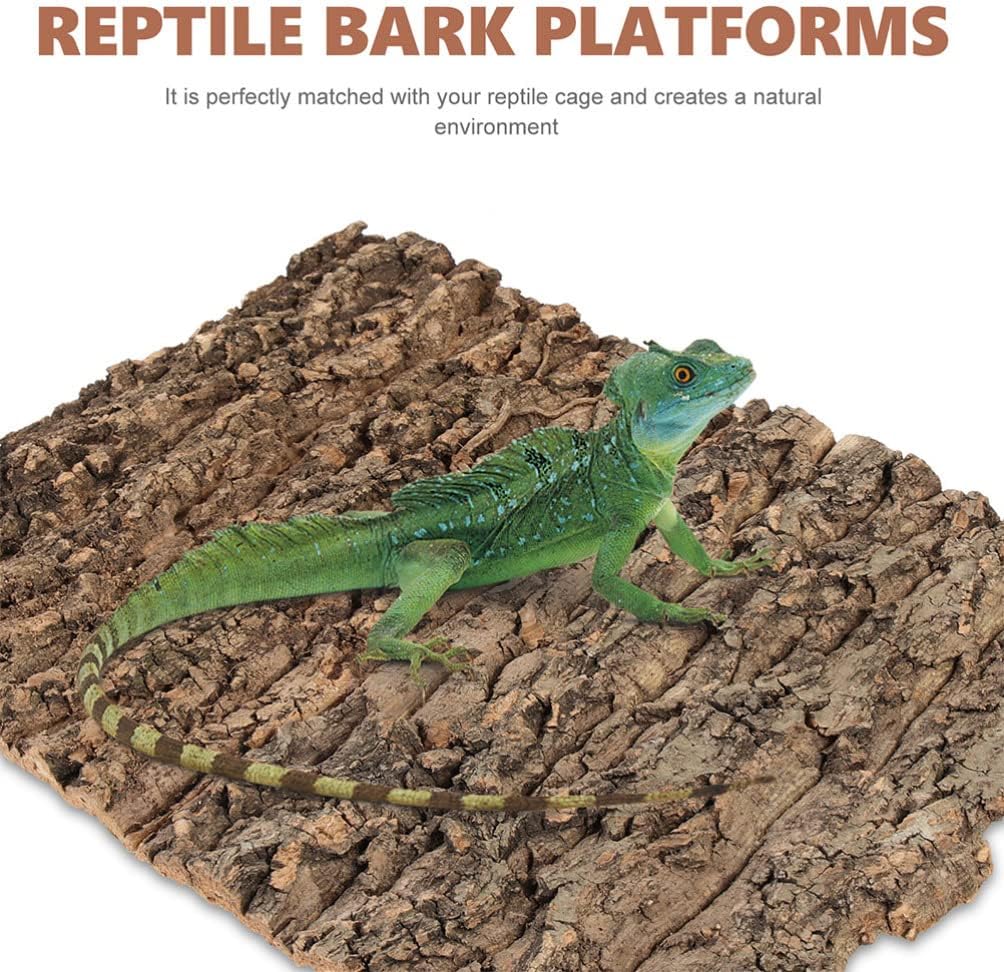 Totority Cork Bark 3Pcs Plants Decor Cork Terrarium Background, Cork Tile Background Decorative Tree Bark Adornment Reptile Climbing Plaything for Gecko Lizard Tortoise Frog Bearded Dragon Tank Access